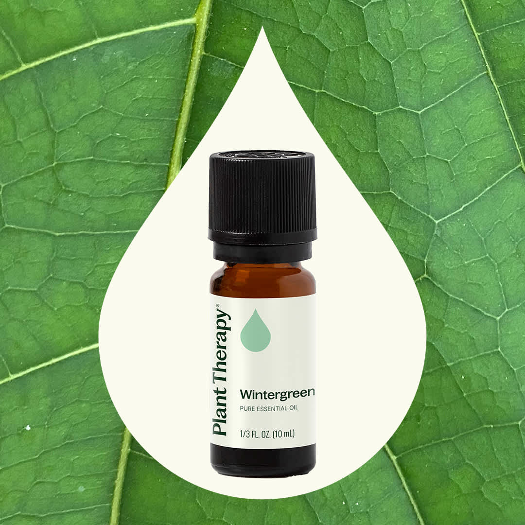 Wintergreen Essential Oil Plant Therapy