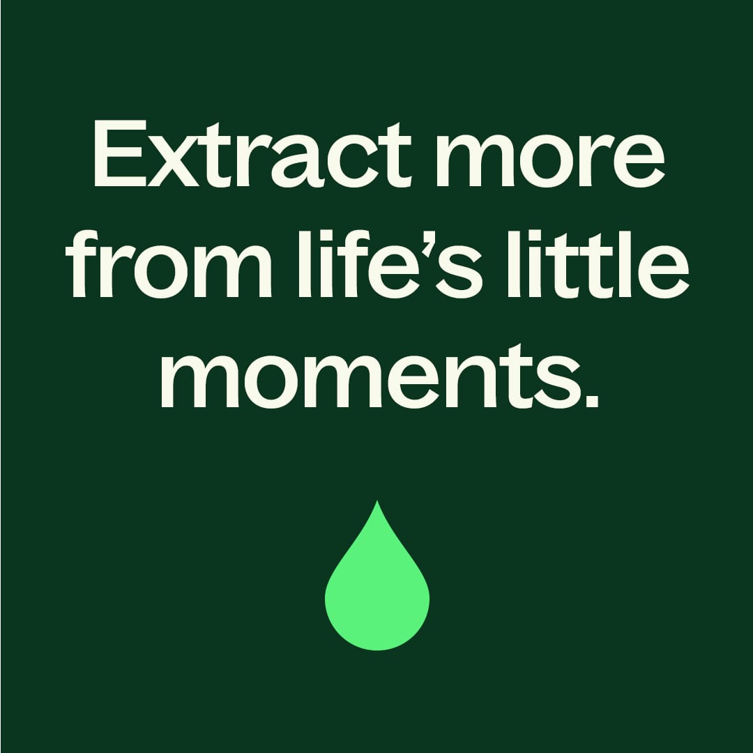 Wintergreen Essential Oil Plant Therapy