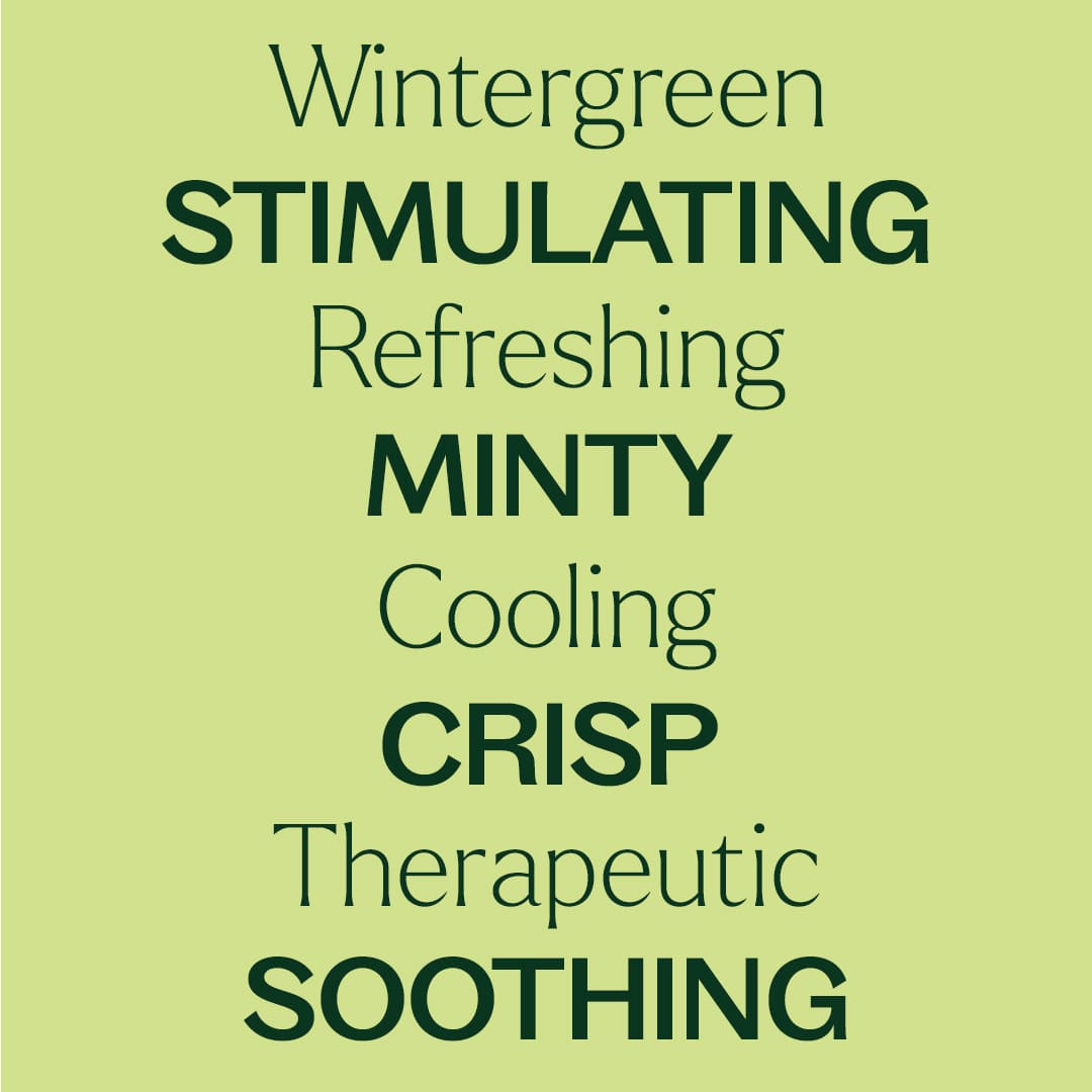Wintergreen Essential Oil Plant Therapy