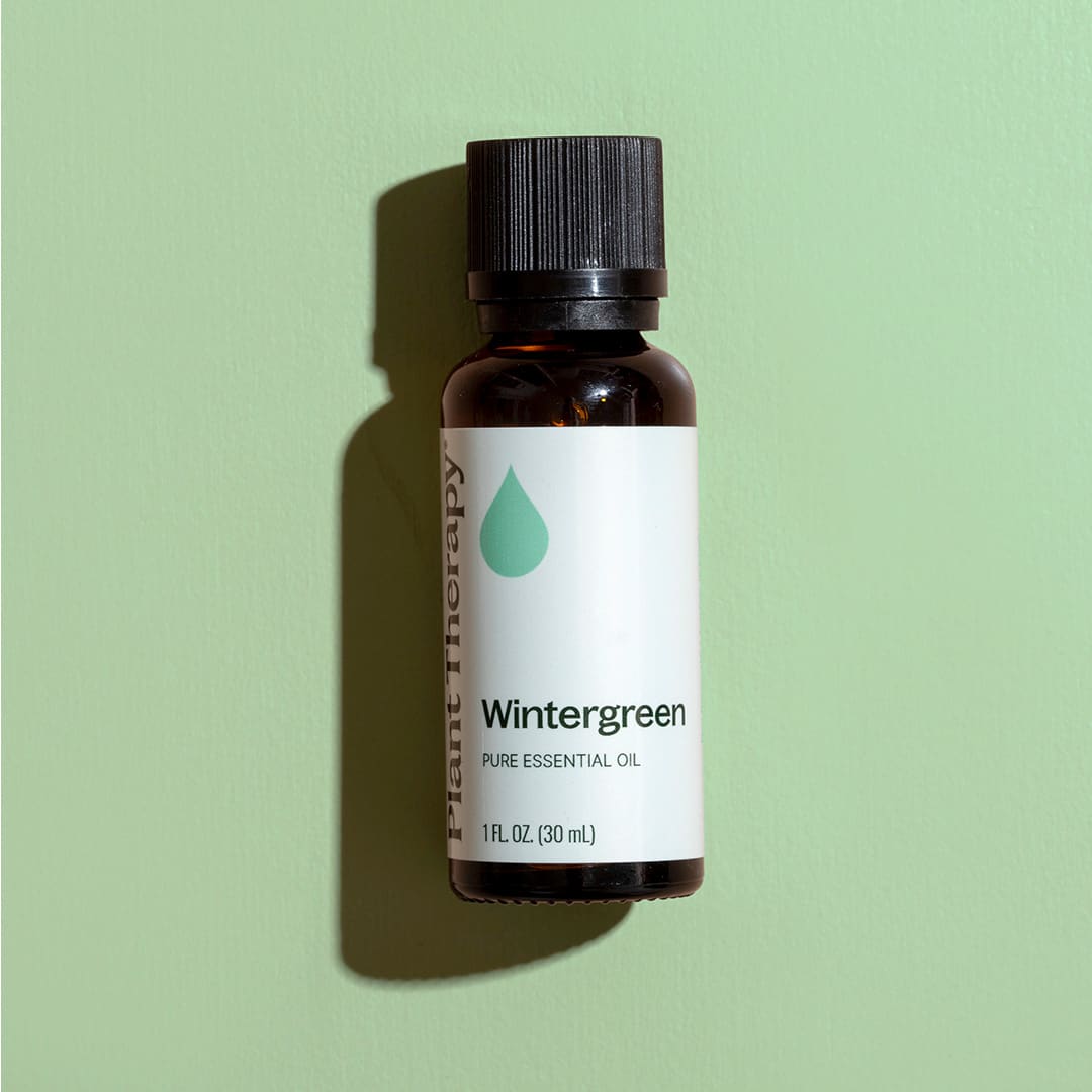 Wintergreen Essential Oil Plant Therapy