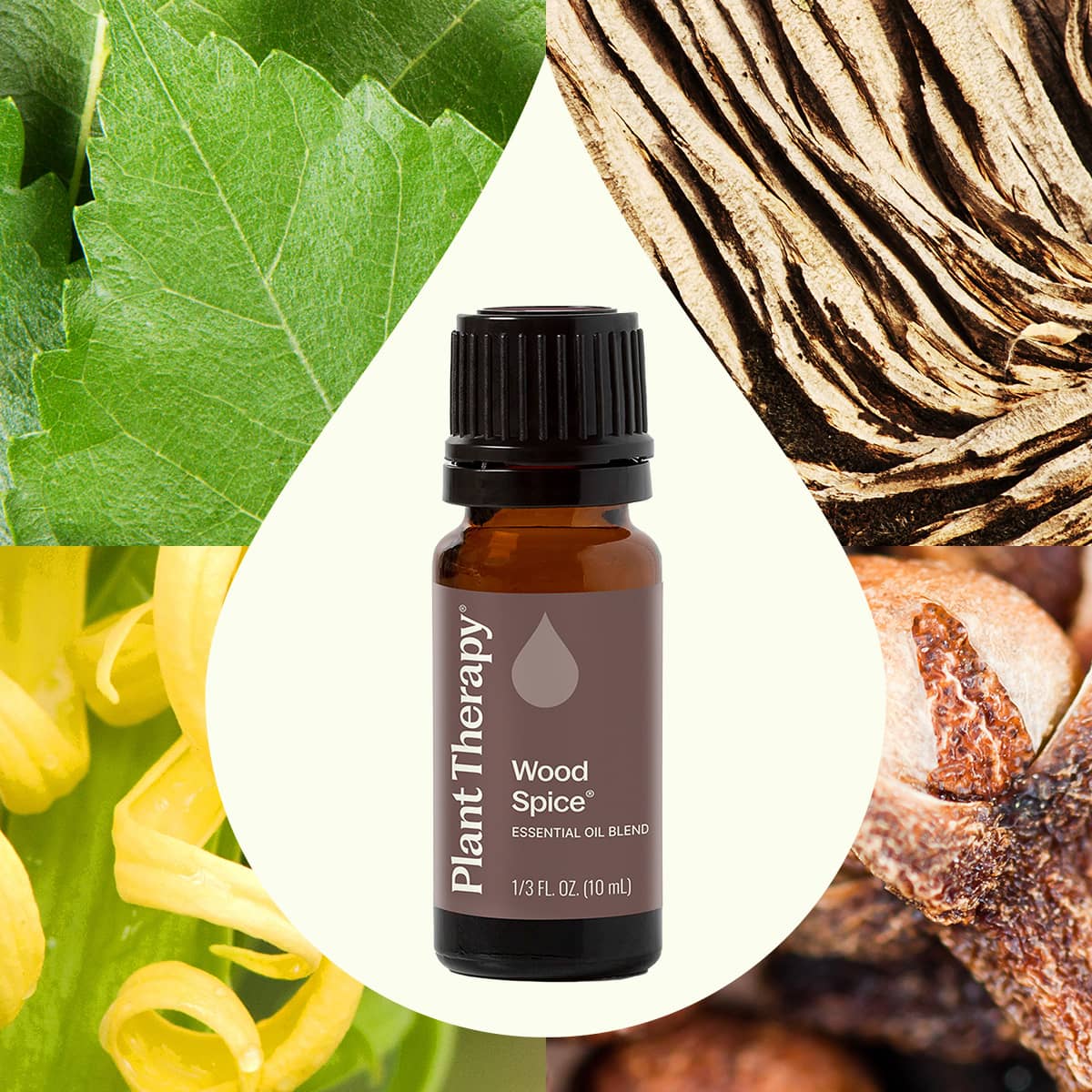 Wood Spice Essential Oil Blend Plant Therapy