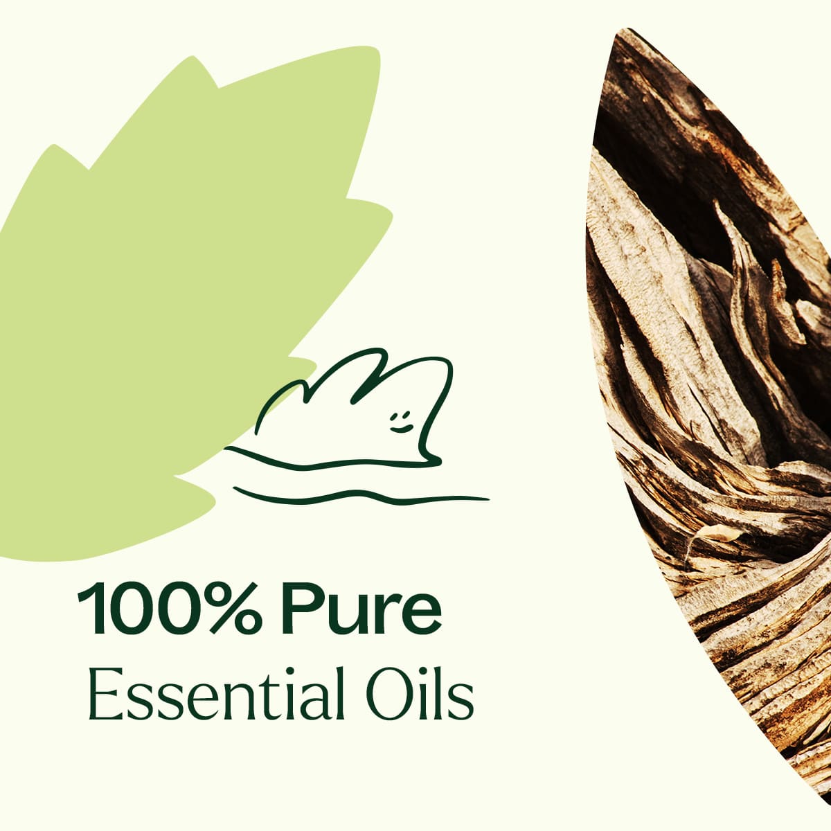 Wood Spice Essential Oil Blend Plant Therapy