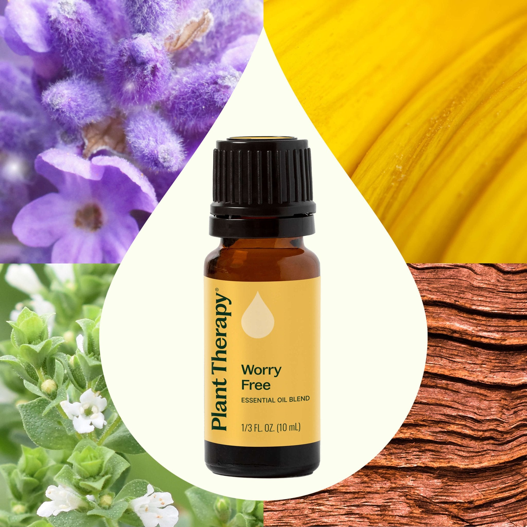 Worry Free Essential Oil Blend Plant Therapy