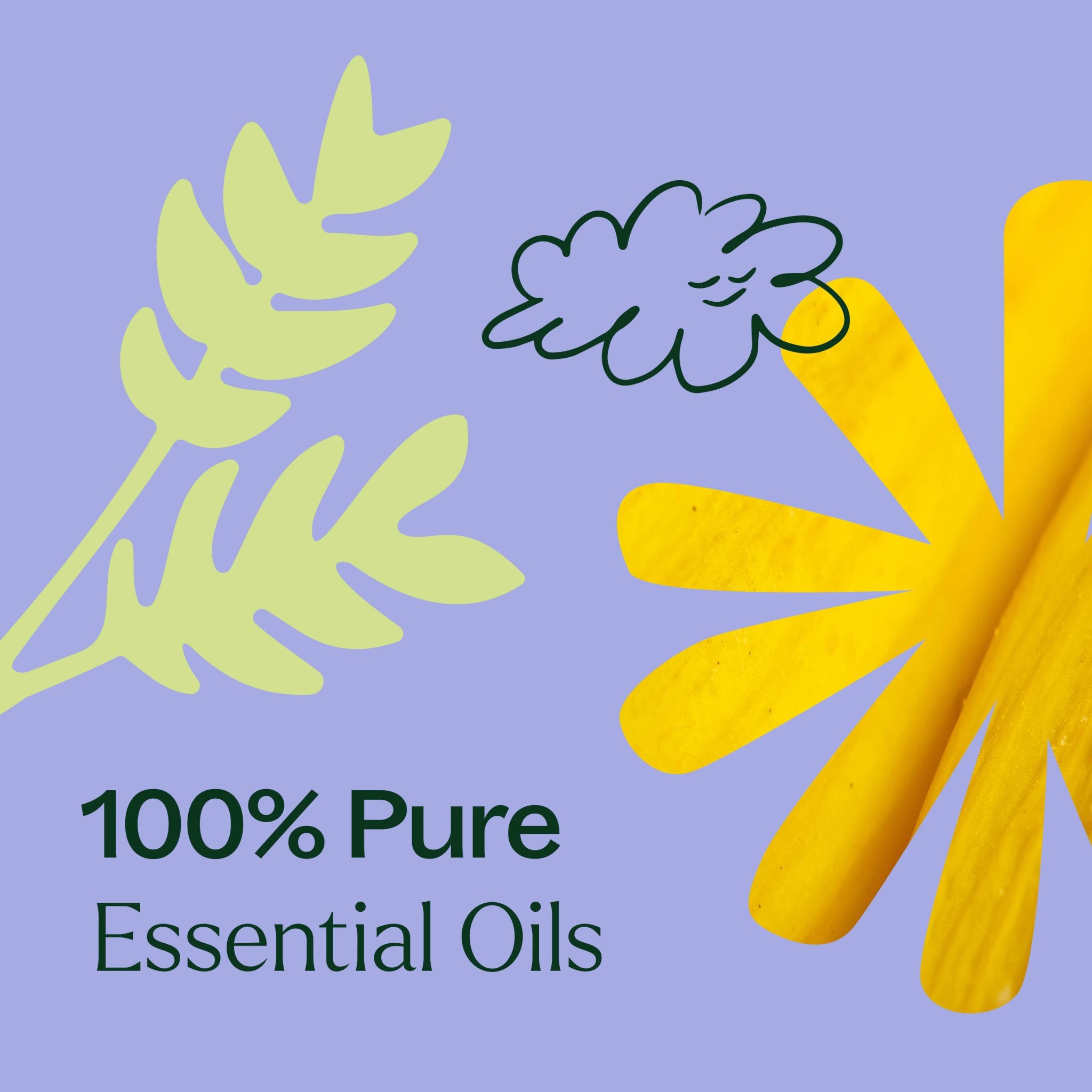 Worry Free™ Essential Oil Blend Pre - Diluted Roll - On Plant Therapy