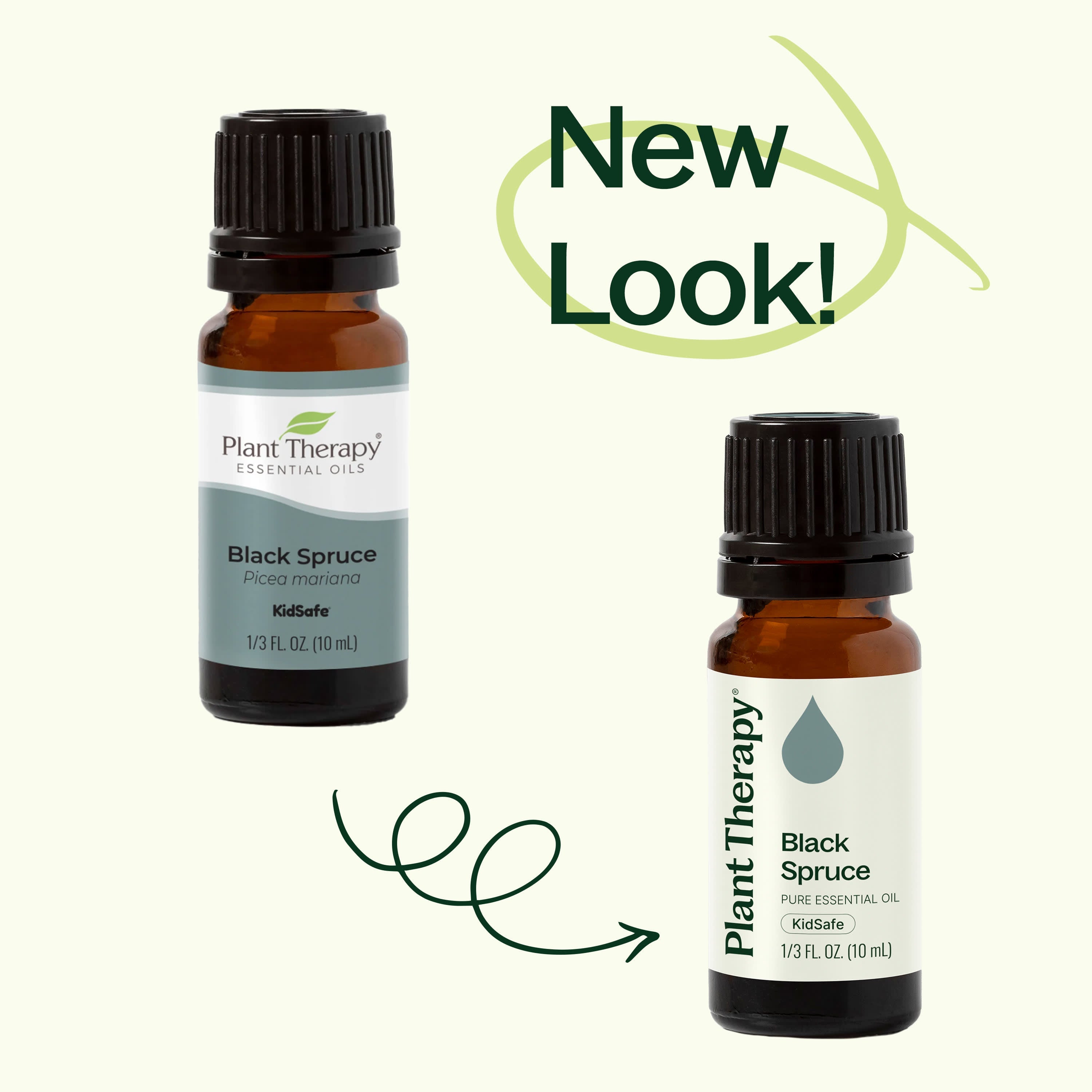 Black Spruce Essential Oil