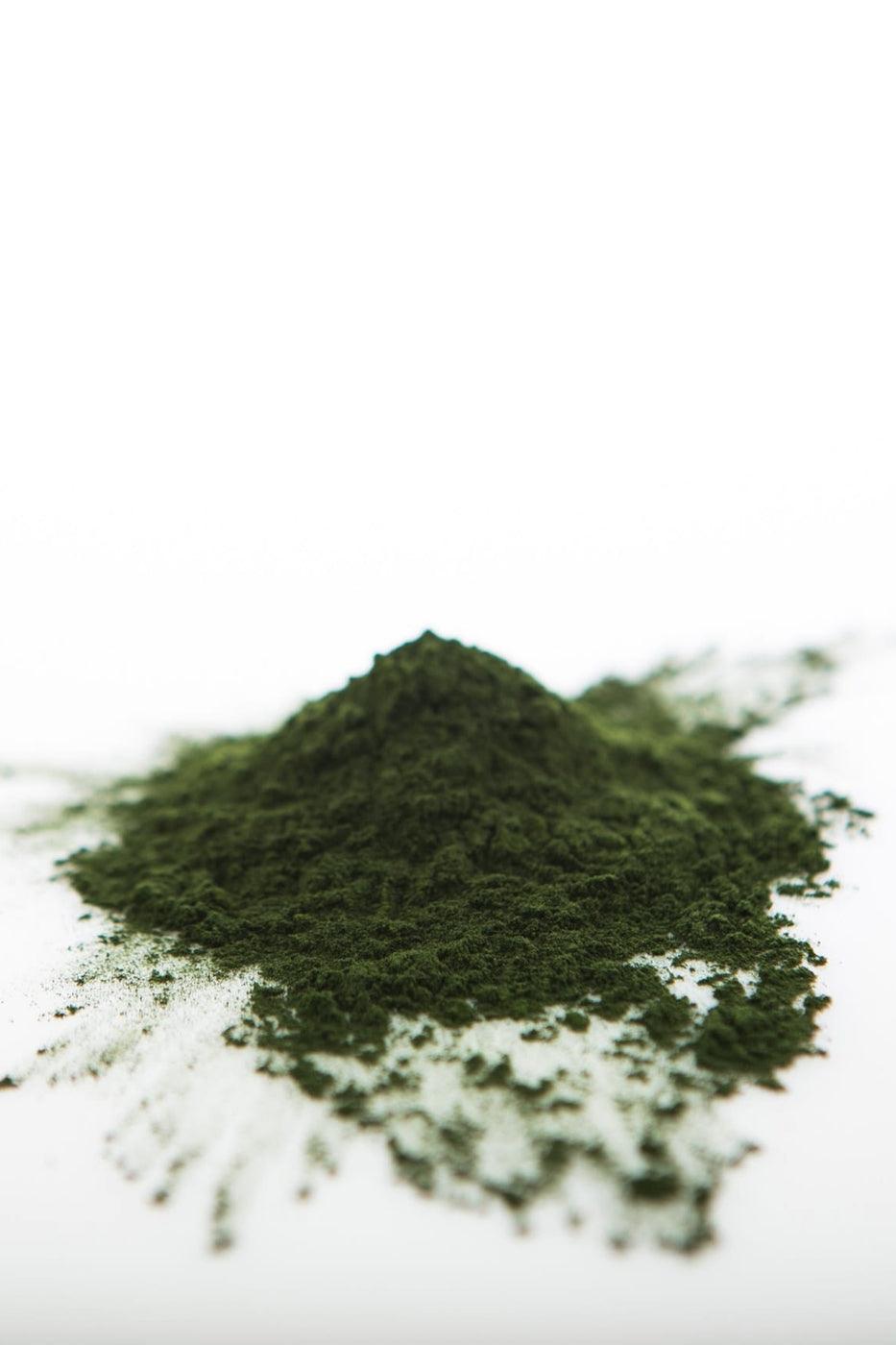 Chlorella Powder (Organic, Sound Processed)