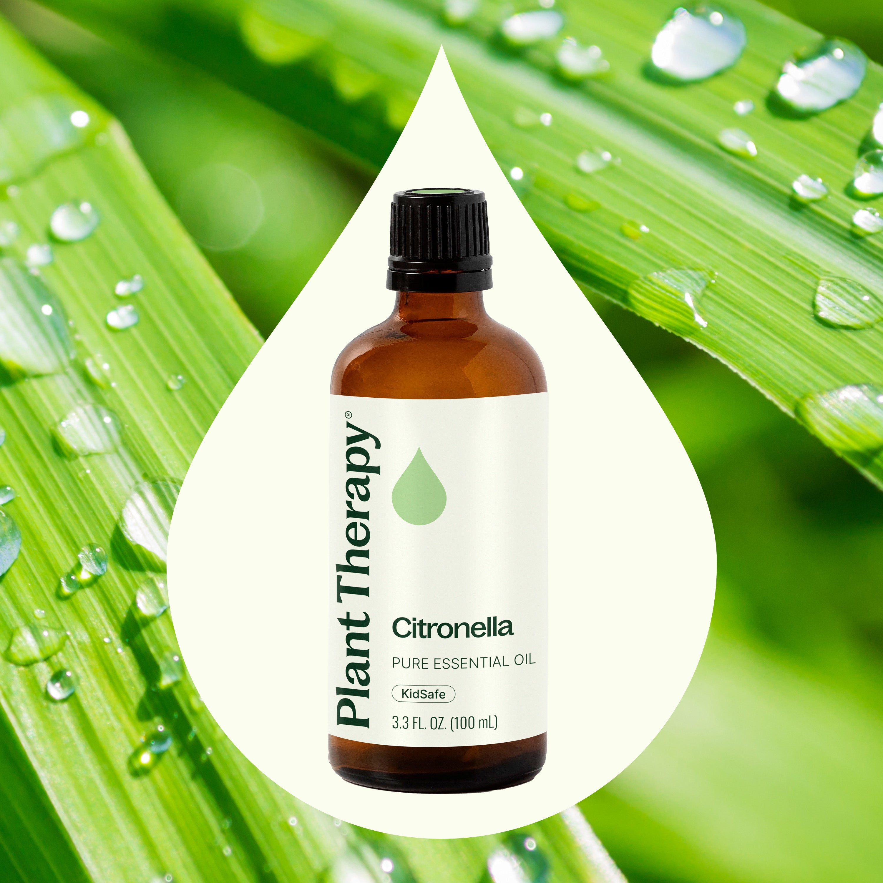 Citronella Essential Oil