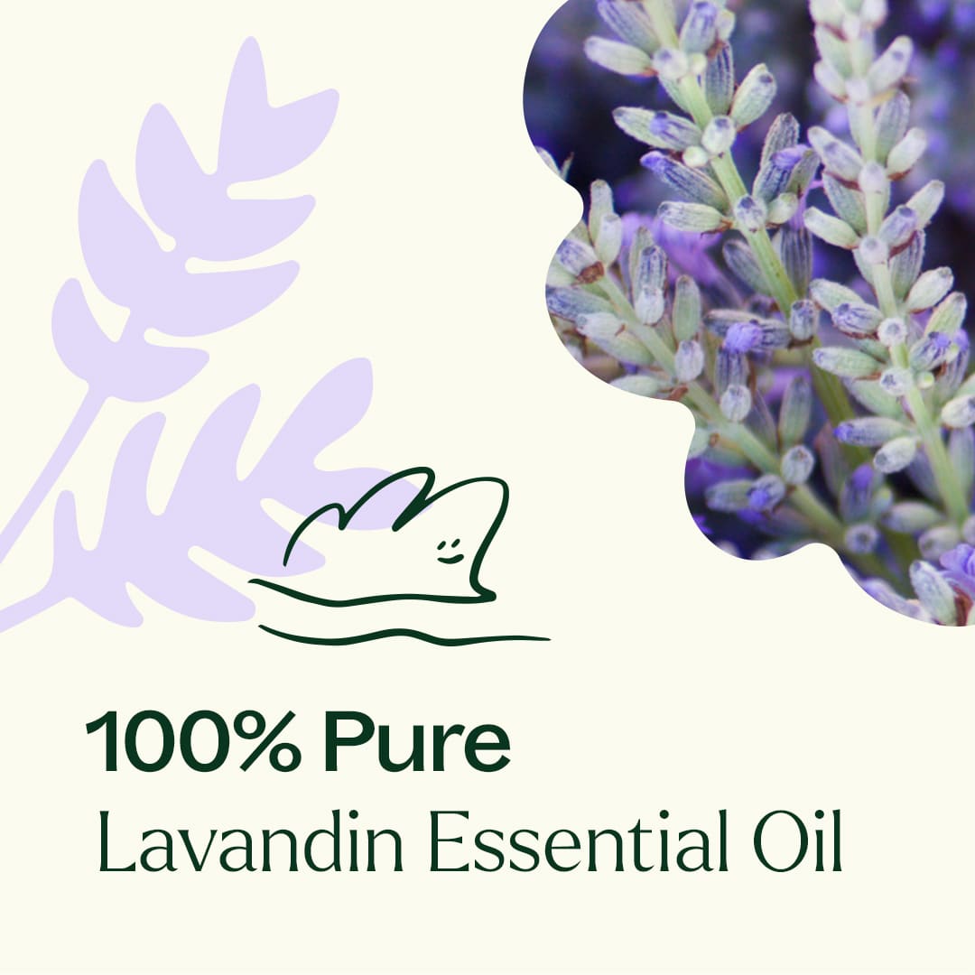 Lavandin Essential Oil