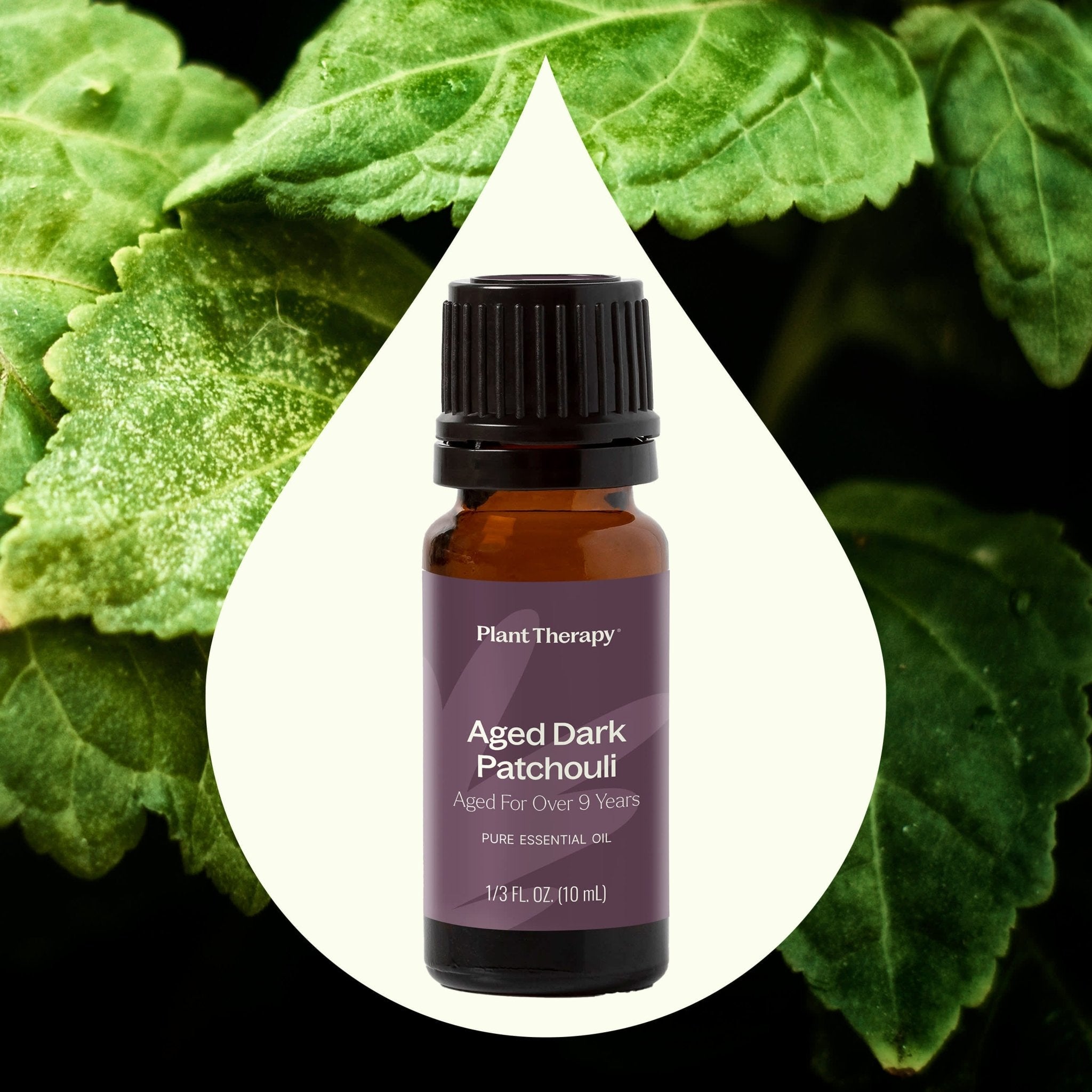 Aged Dark Patchouli Essential Oil Plant Therapy