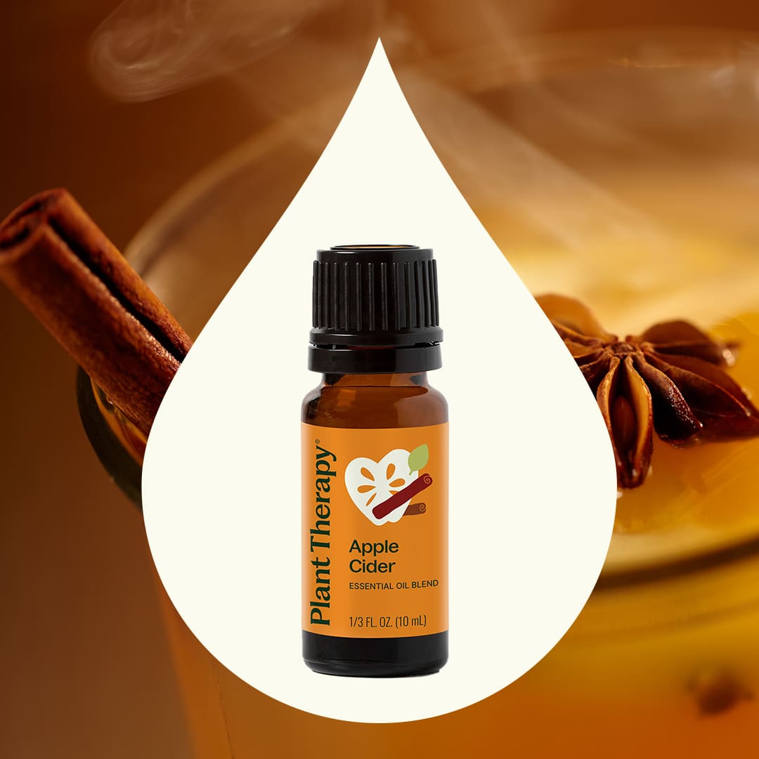Apple Cider Essential Oil Blend Plant Therapy