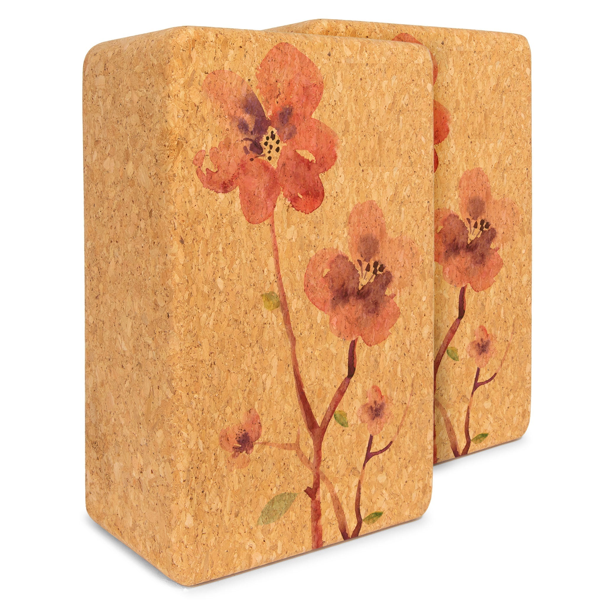 Artist Cork Yoga Block Set Yoloha Yoga