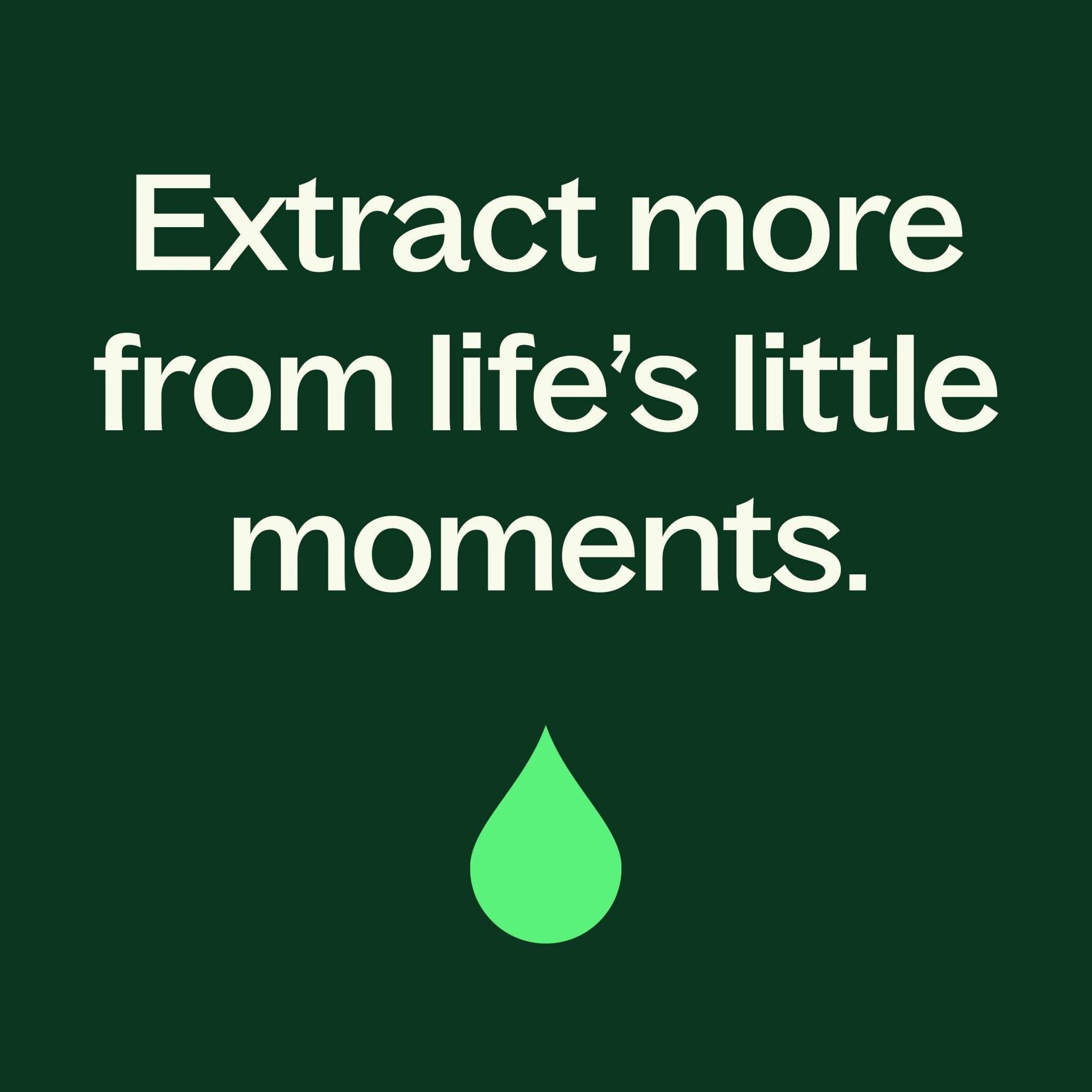 Balsam Noir Naturally Scented Candle Plant Therapy