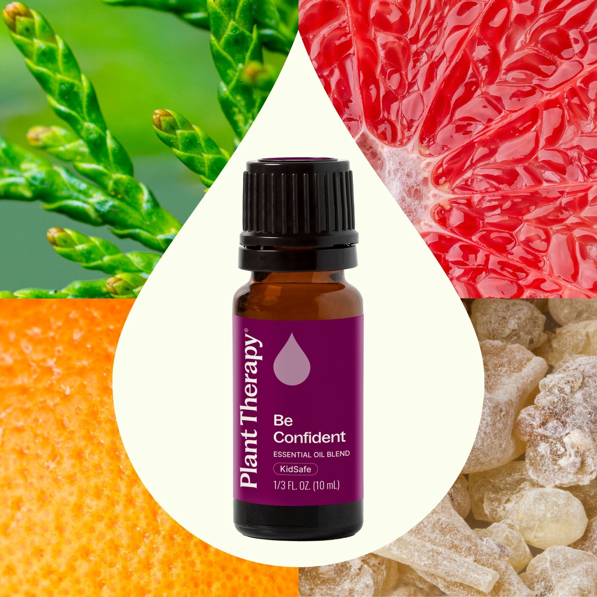 Be Confident Essential Oil Blend Plant Therapy