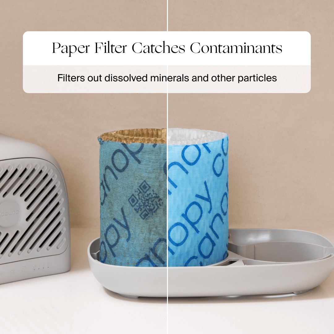 Bedside Humidifier 2.0 Canopy