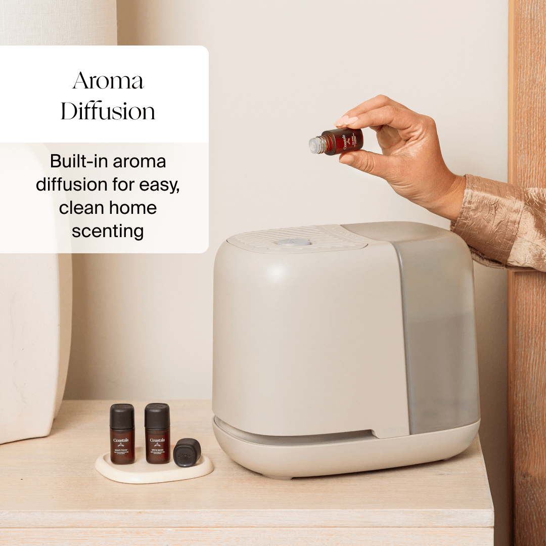 Bedside Humidifier 2.0 Canopy