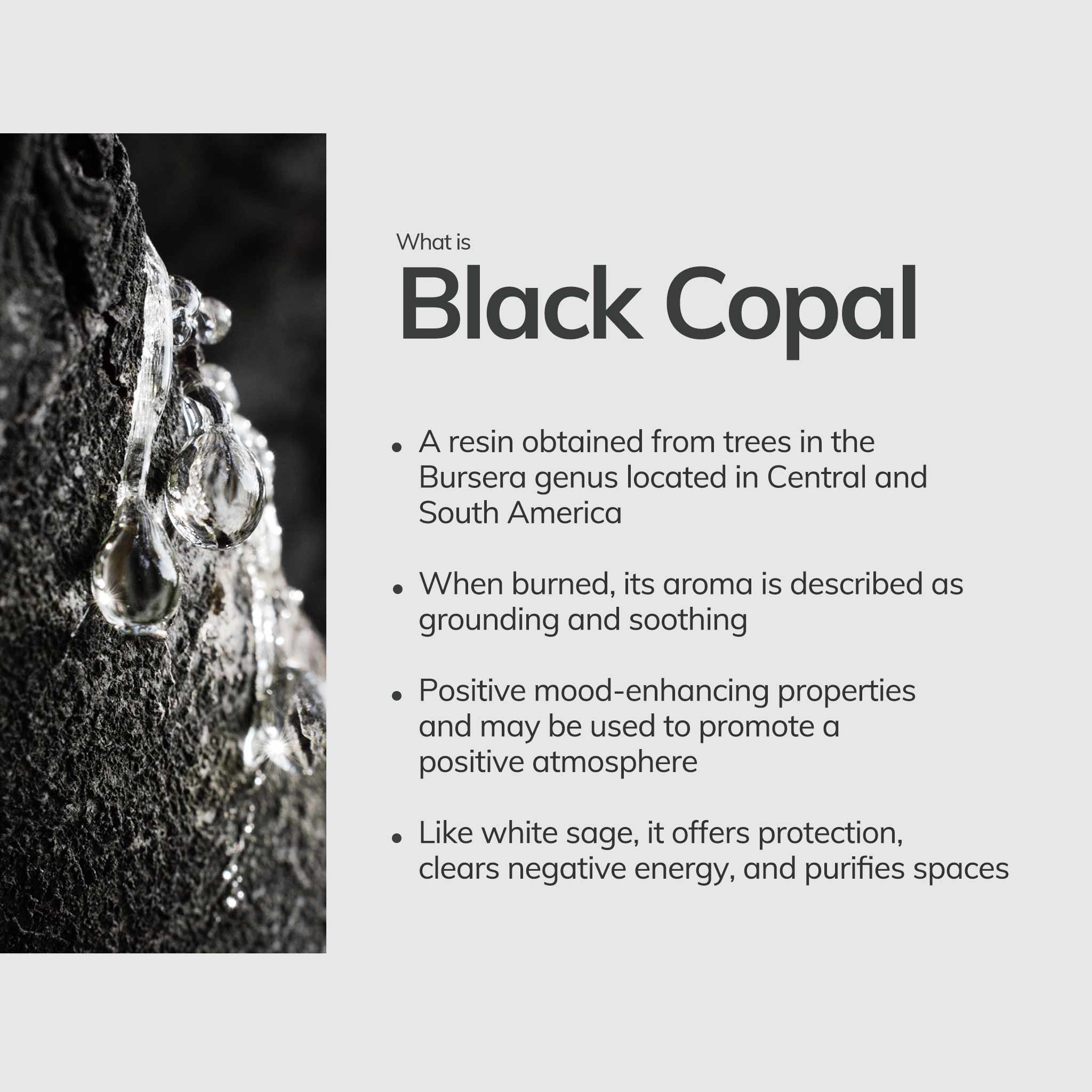 Black Copal Incense Sticks – 7 Hand - Rolled Sticks from Peru CEDAR AND MYRRH