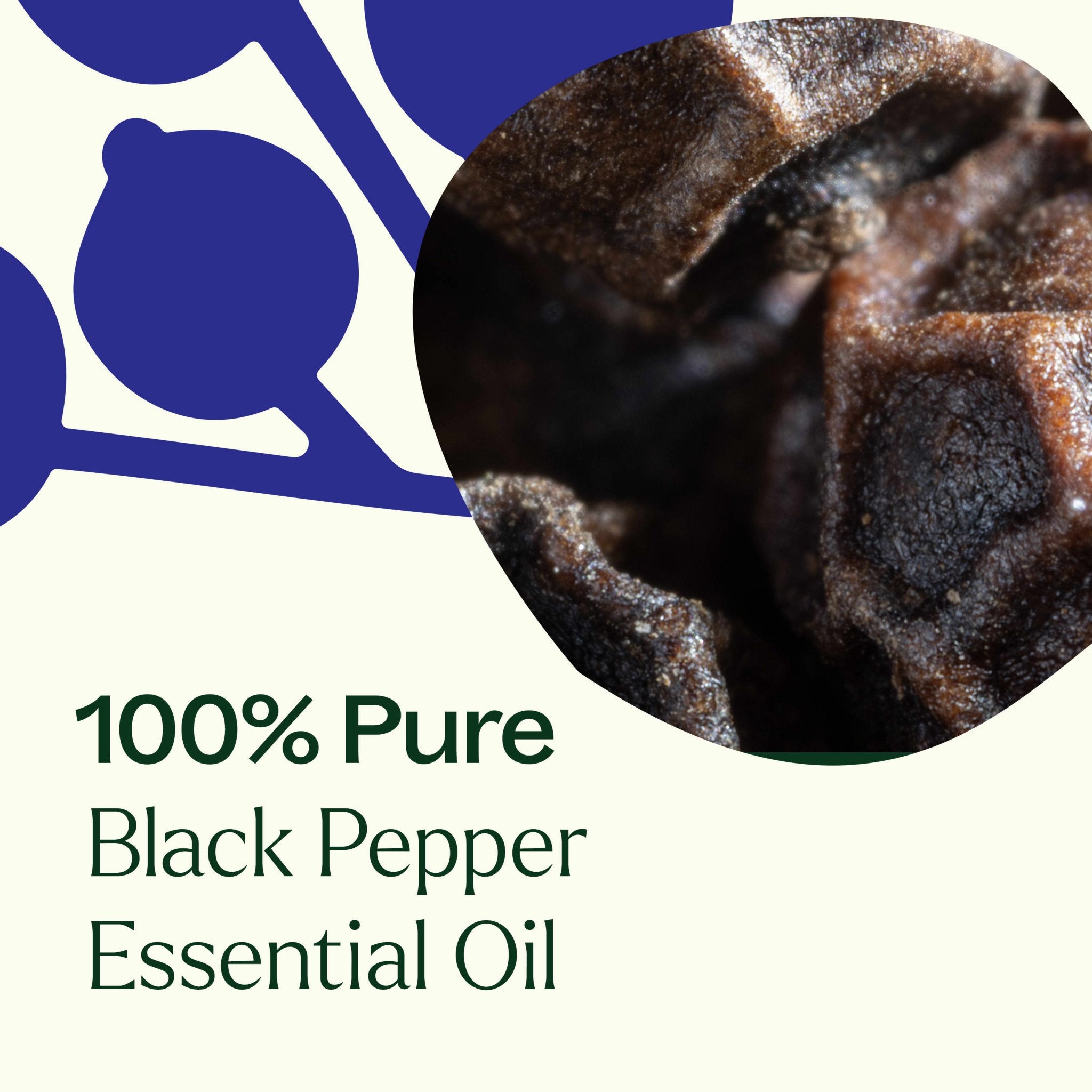 Black Pepper Essential Oil Plant Therapy