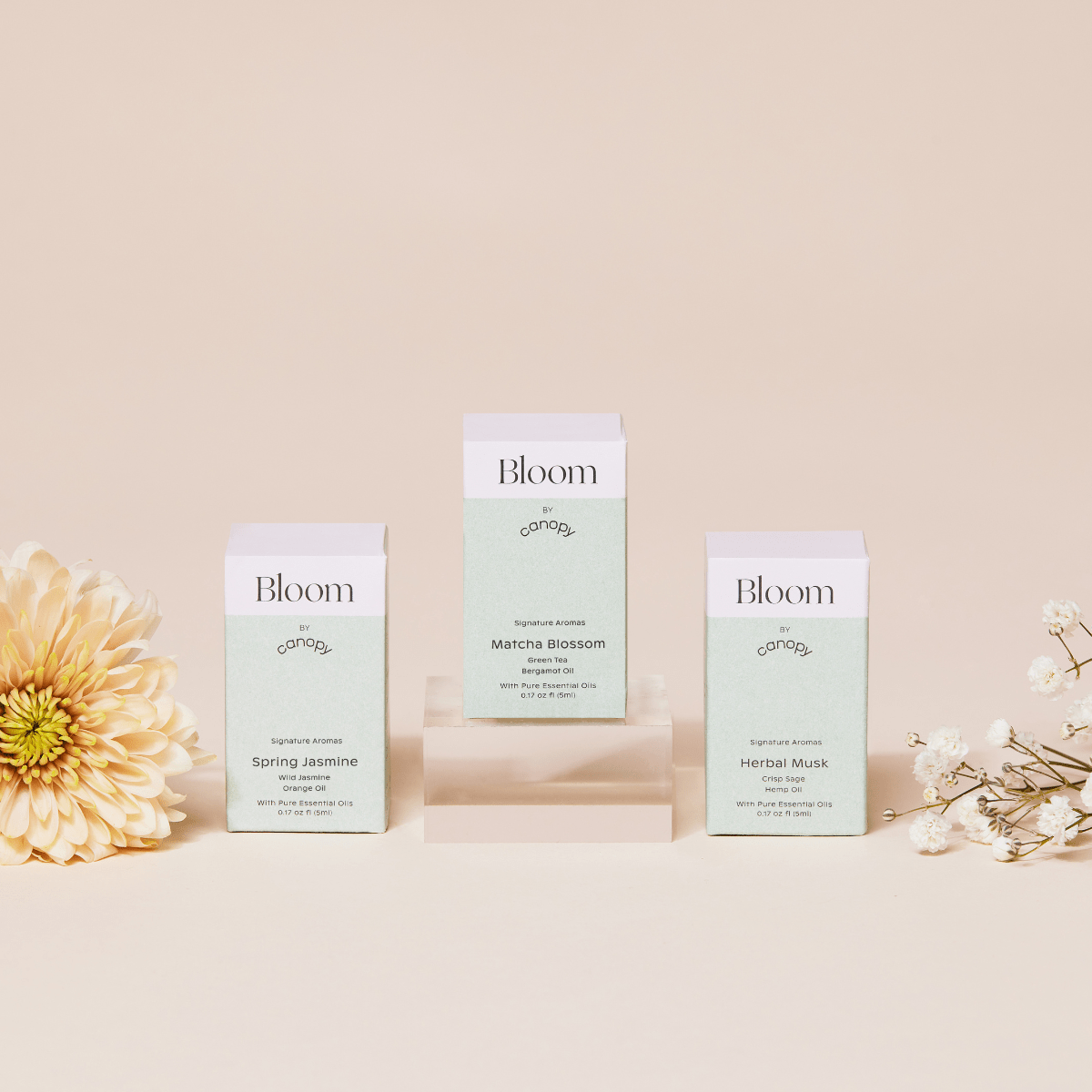 Bloom Aroma Kit Canopy