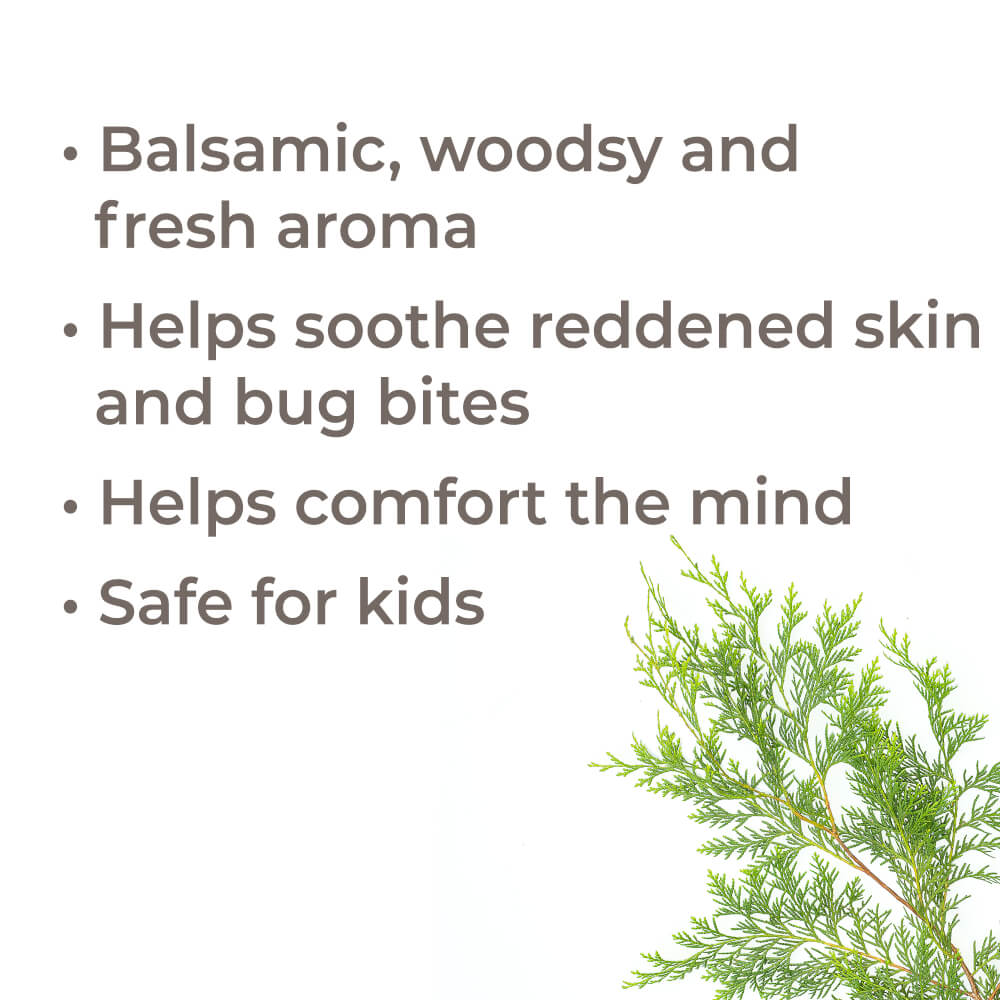 Blue Cypress Essential Oil Plant Therapy