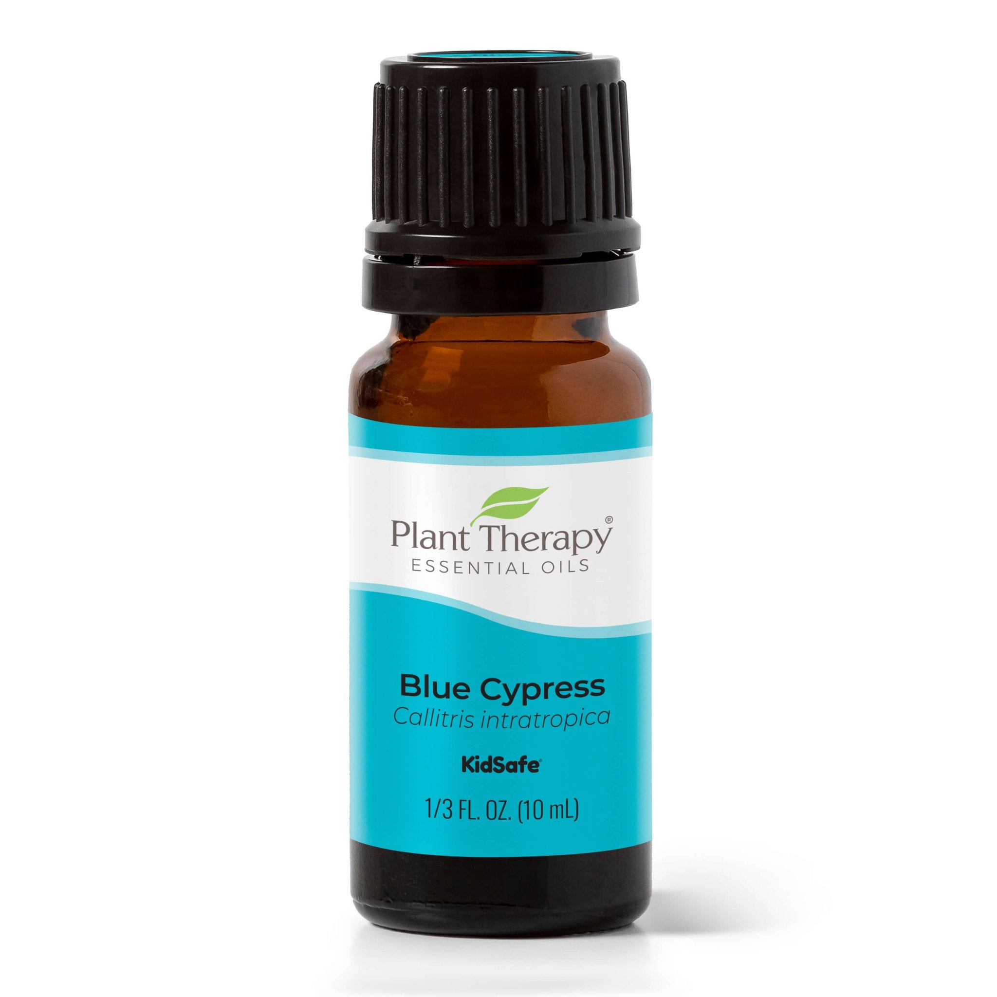 Blue Cypress Essential Oil Plant Therapy
