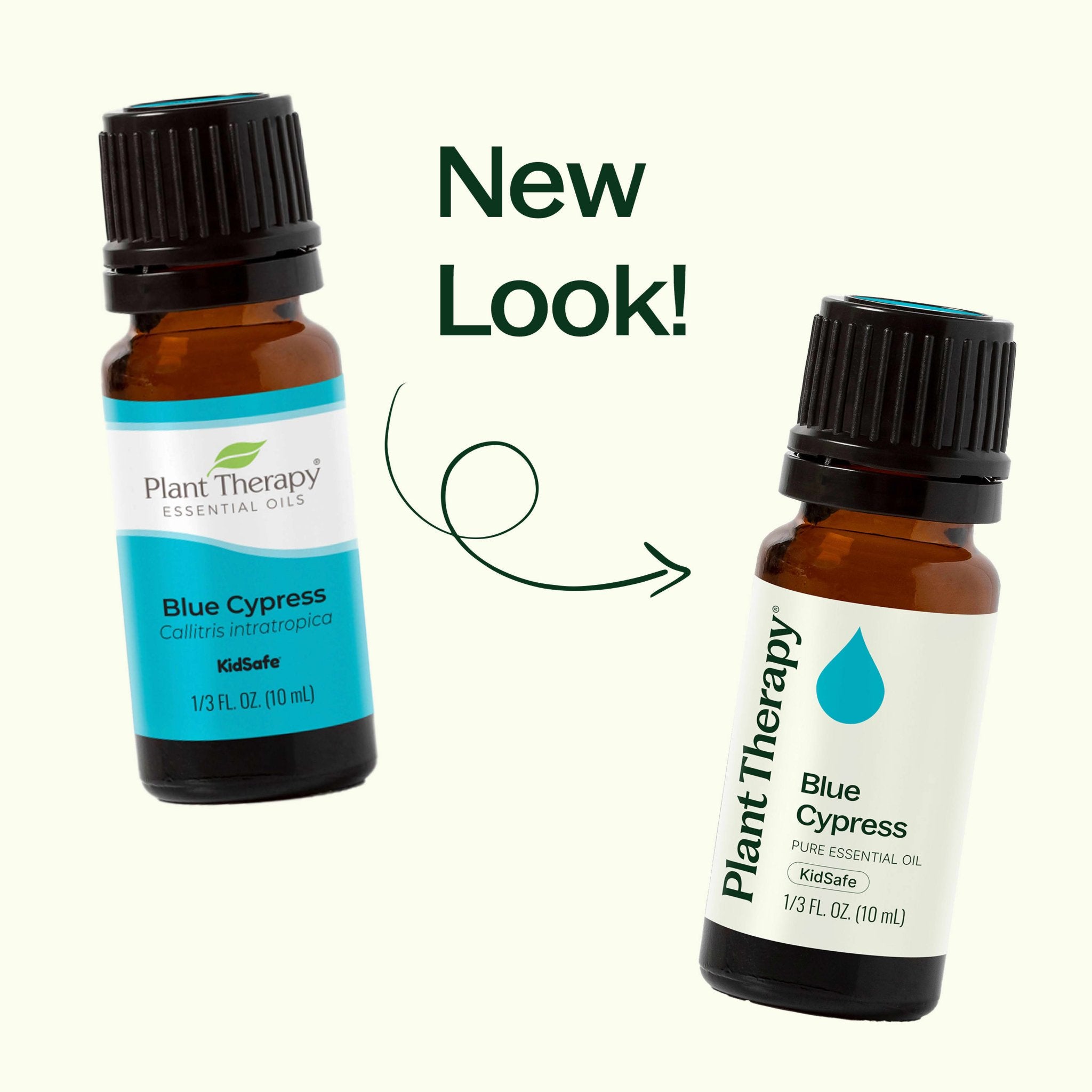 Blue Cypress Essential Oil Plant Therapy