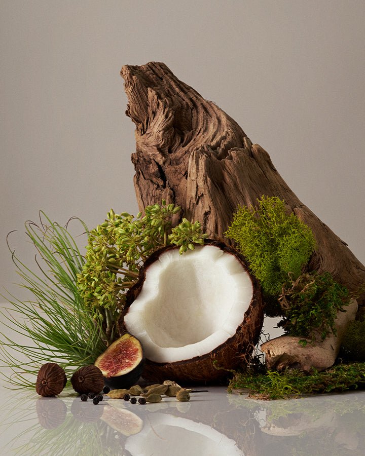 Body Butter Homecourt