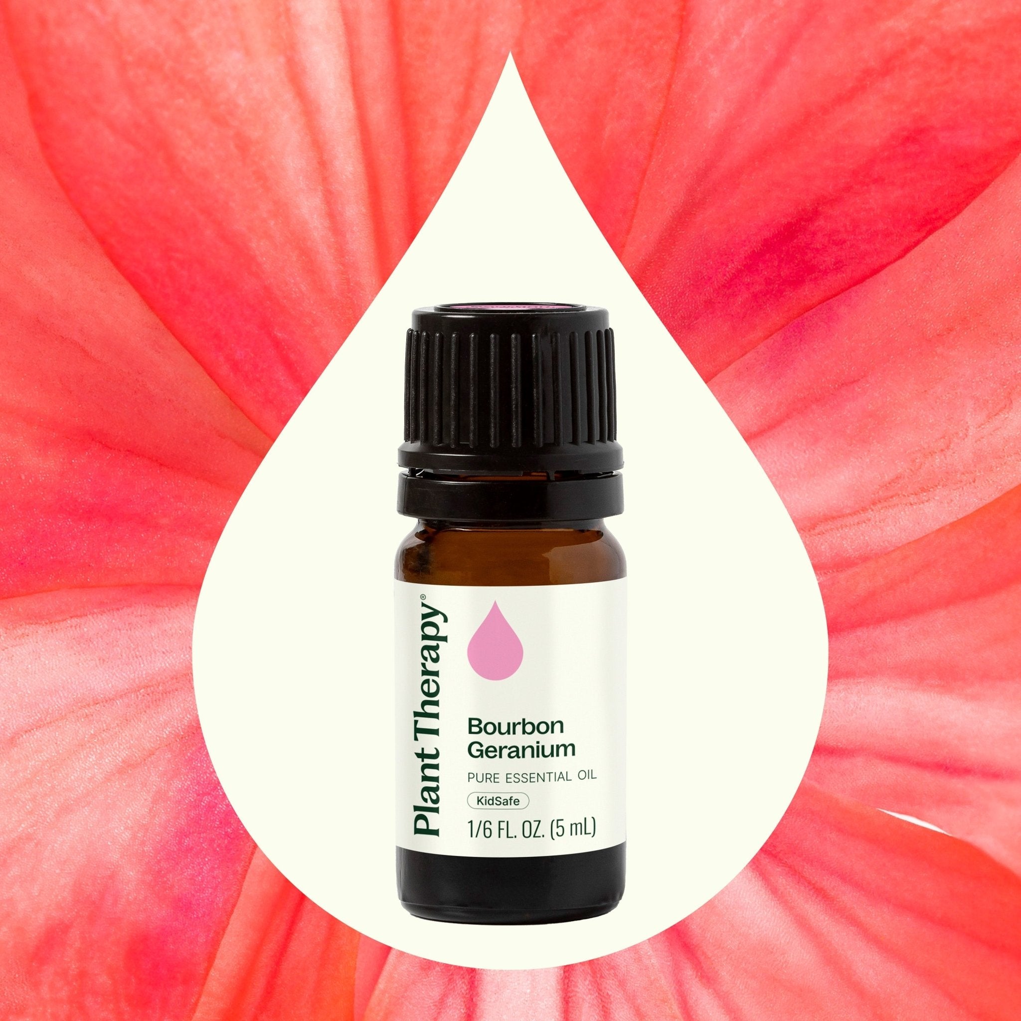 Bourbon Geranium Essential Oil Plant Therapy