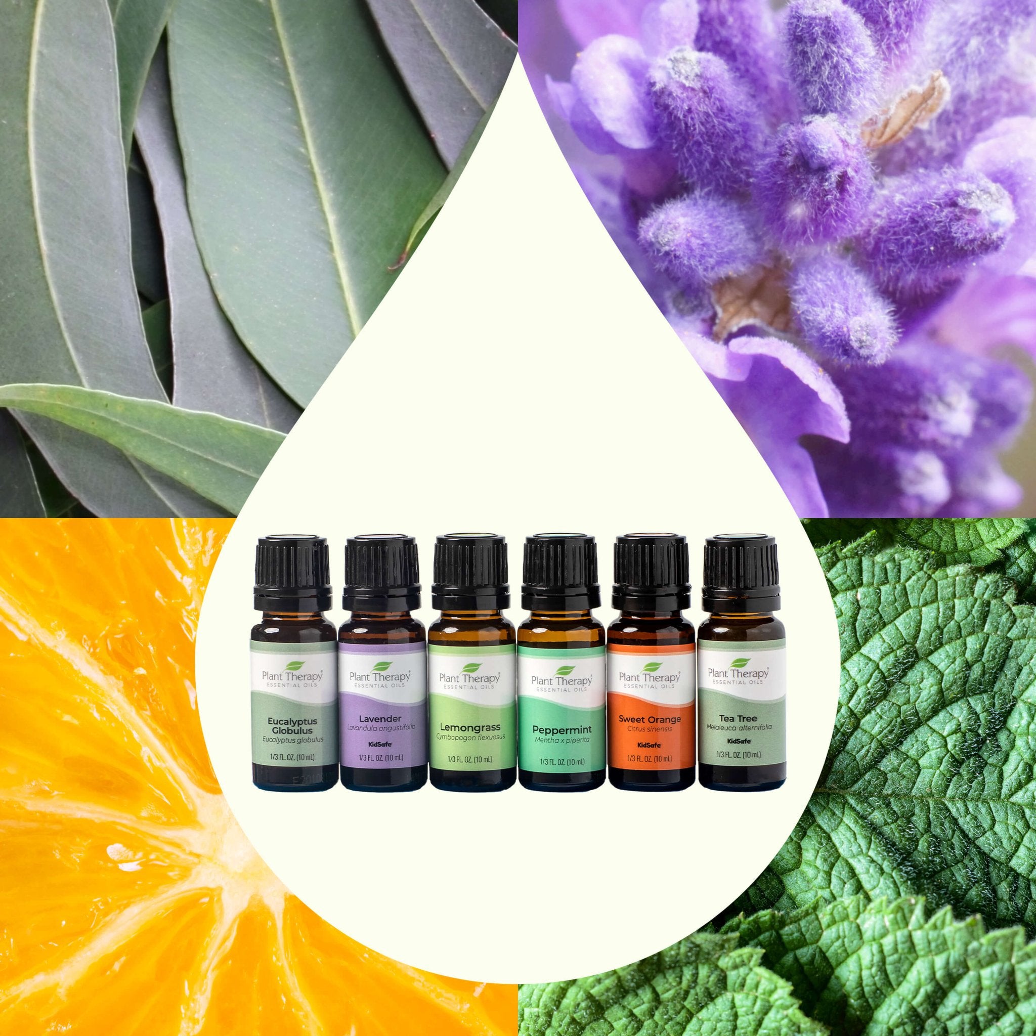 Breathe Easy Set Plant Therapy