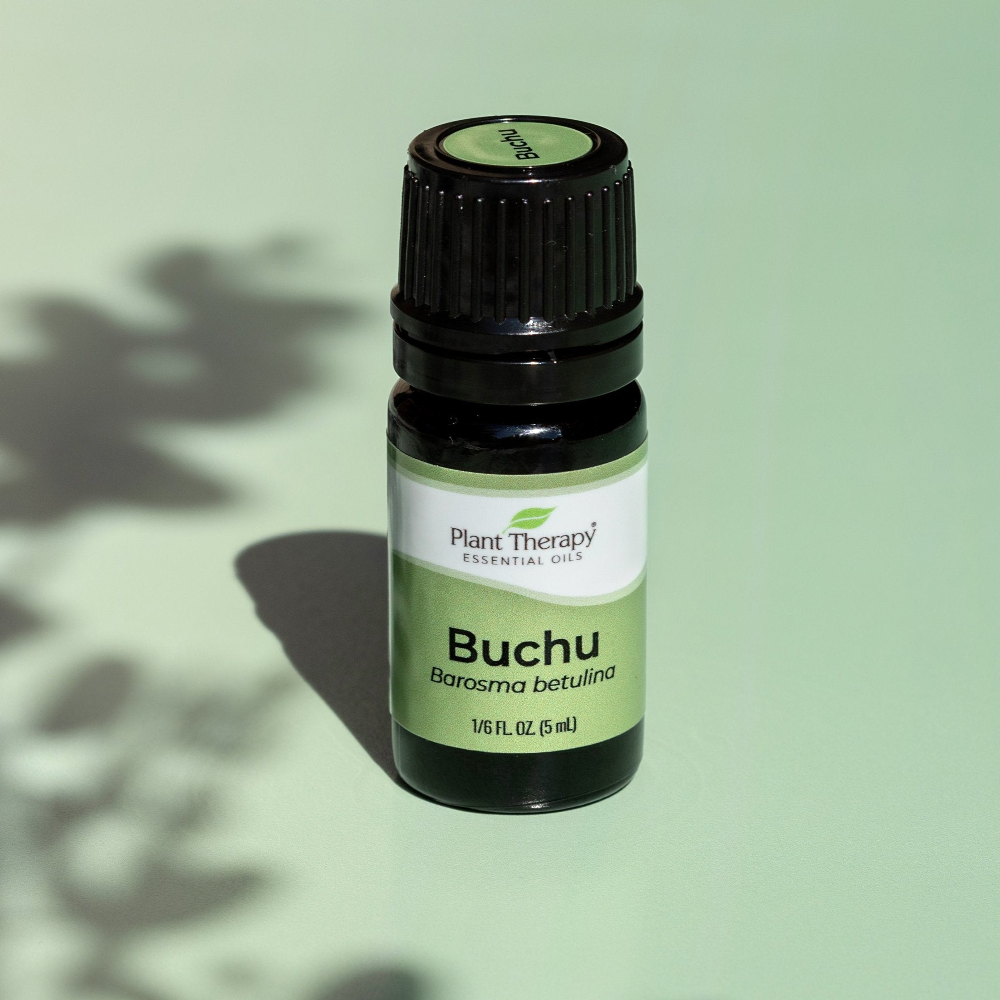 Buchu Essential Oil Plant Therapy