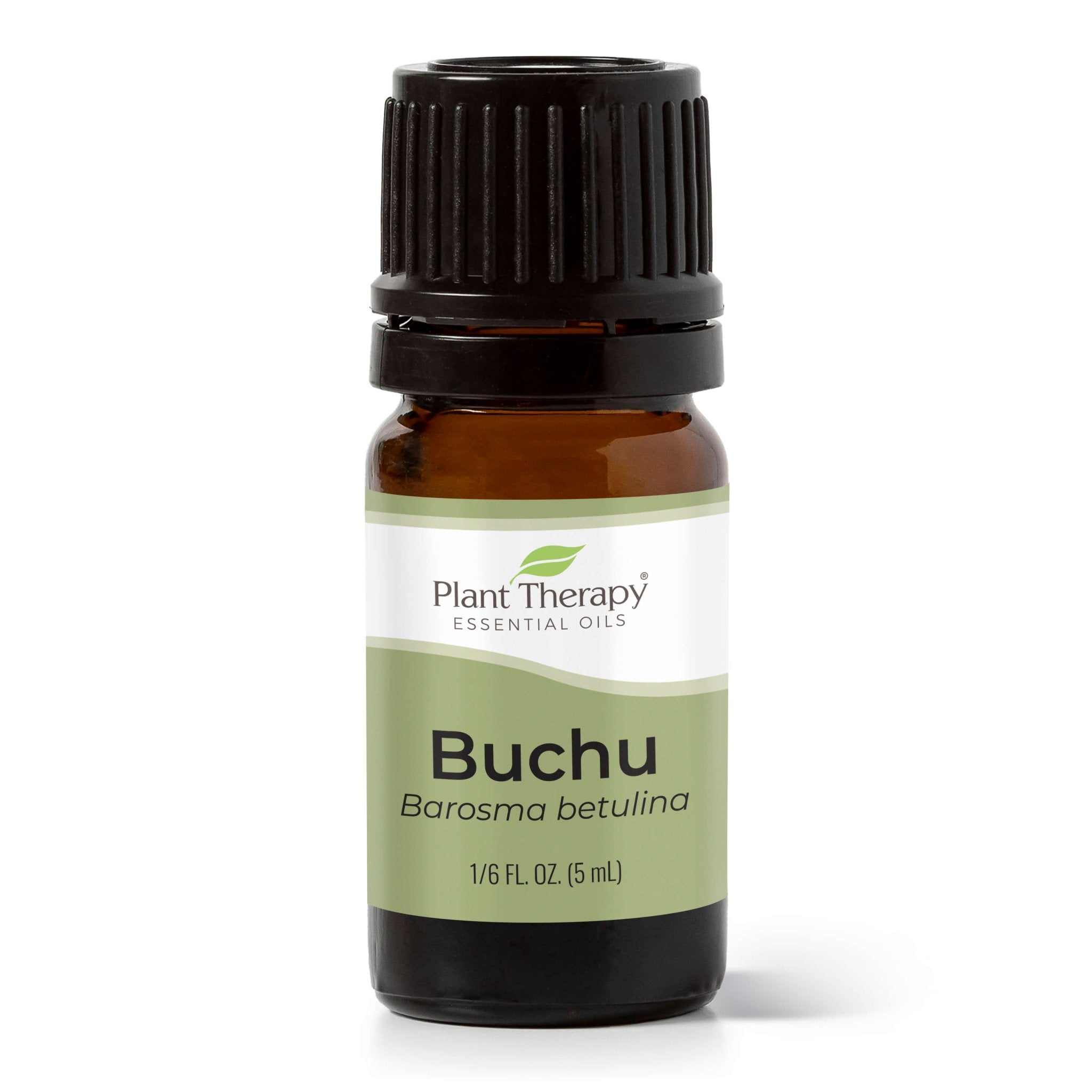 Buchu Essential Oil Plant Therapy
