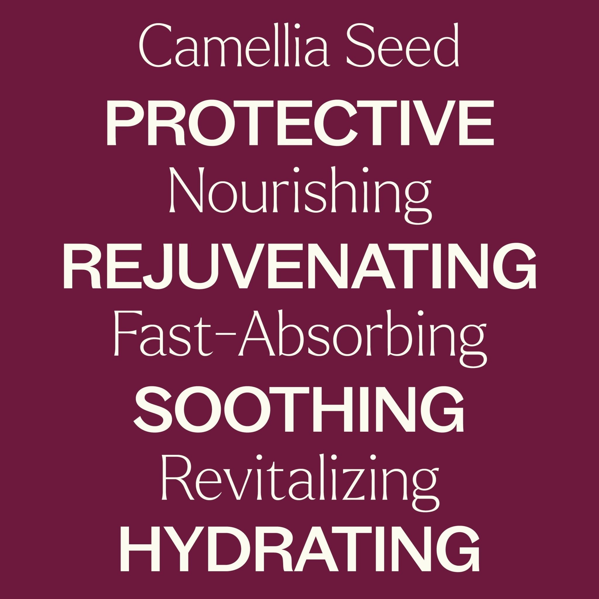 Camellia Seed Carrier Oil Plant Therapy