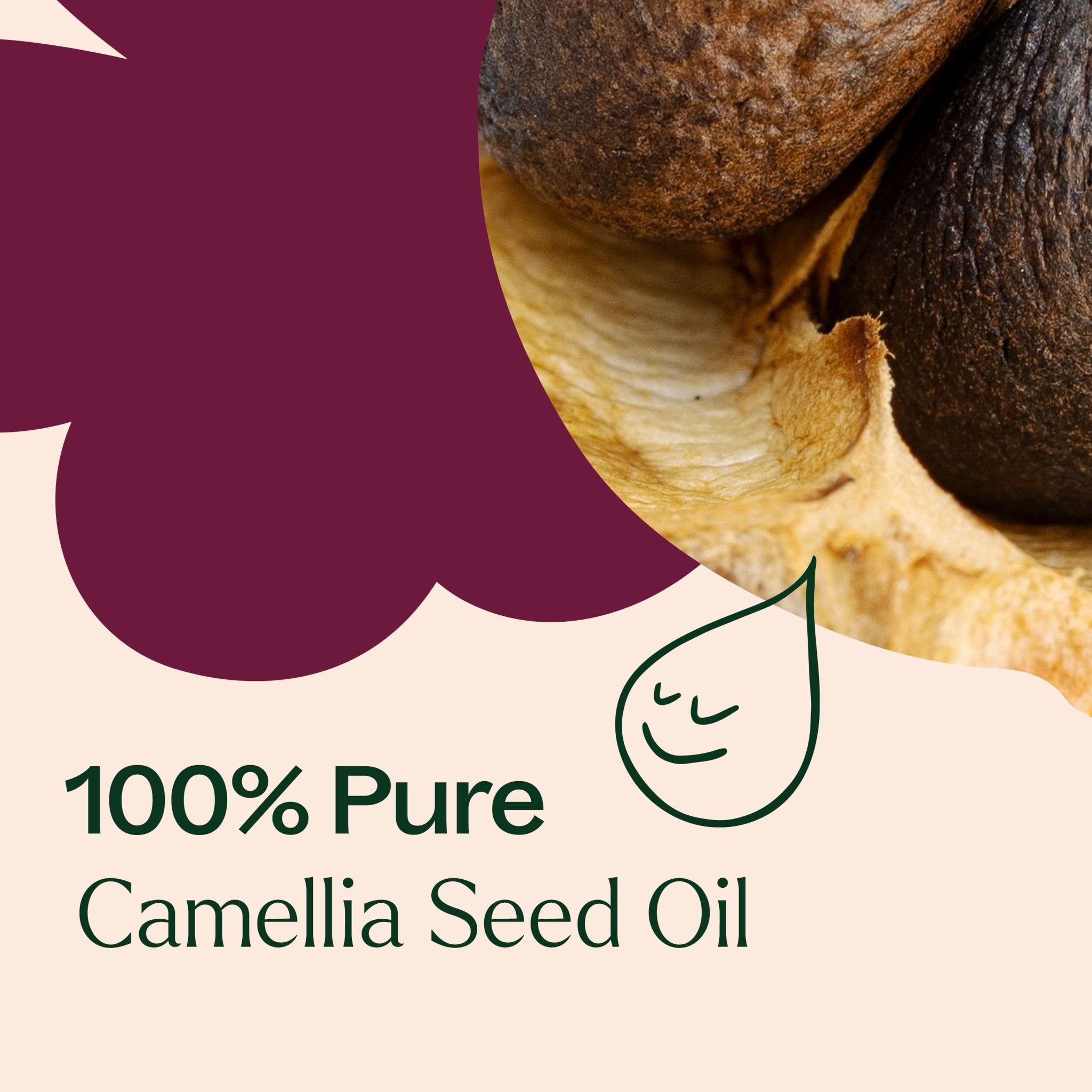 Camellia Seed Carrier Oil Plant Therapy