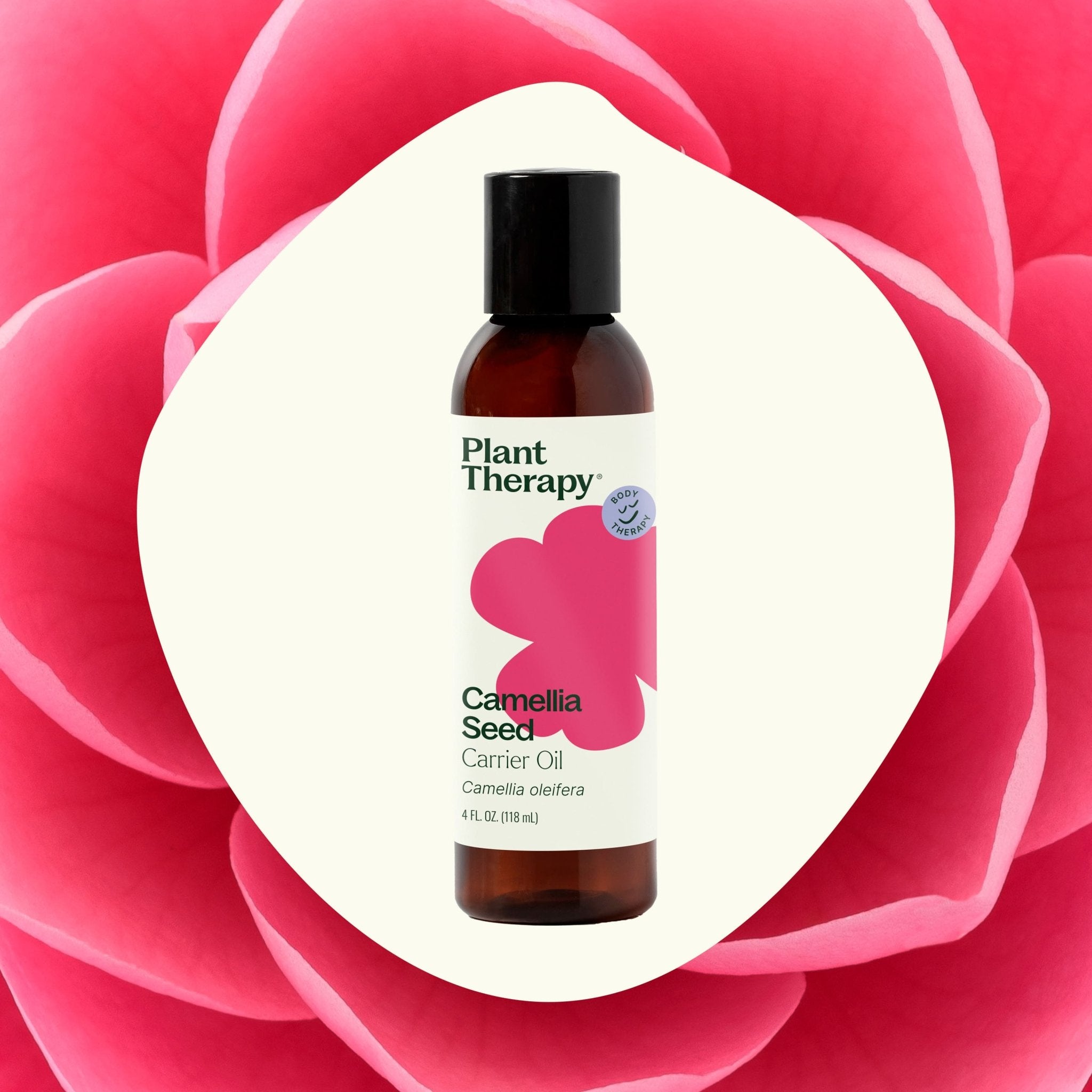 Camellia Seed Carrier Oil Plant Therapy