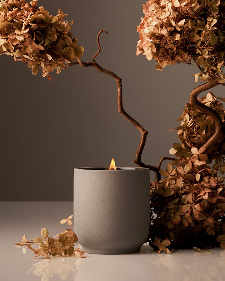 Candle Homecourt