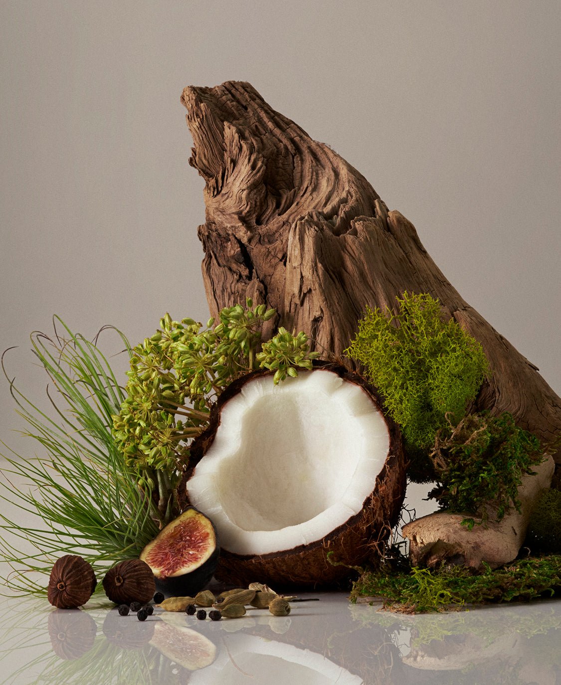 Candle Homecourt