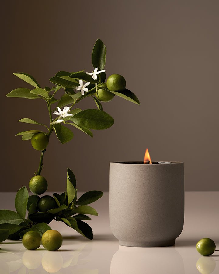 Candle Homecourt