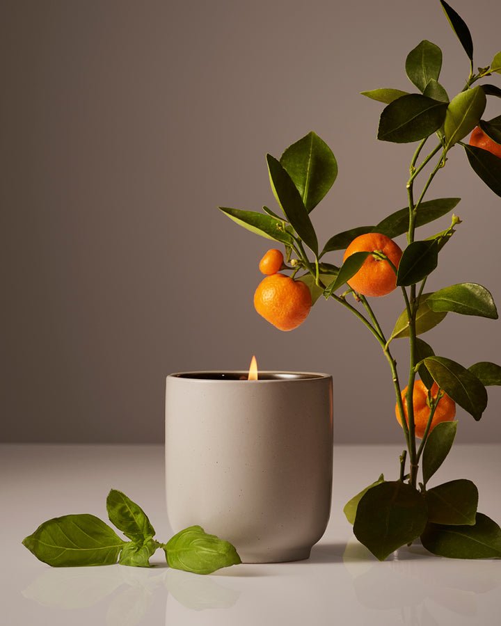 Candle Homecourt