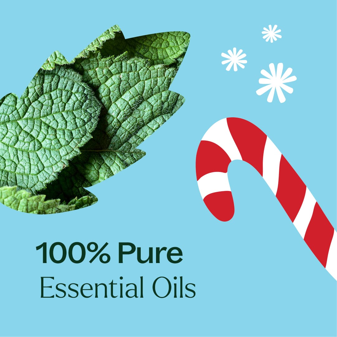 Candy Cane Essential Oil Blend Plant Therapy