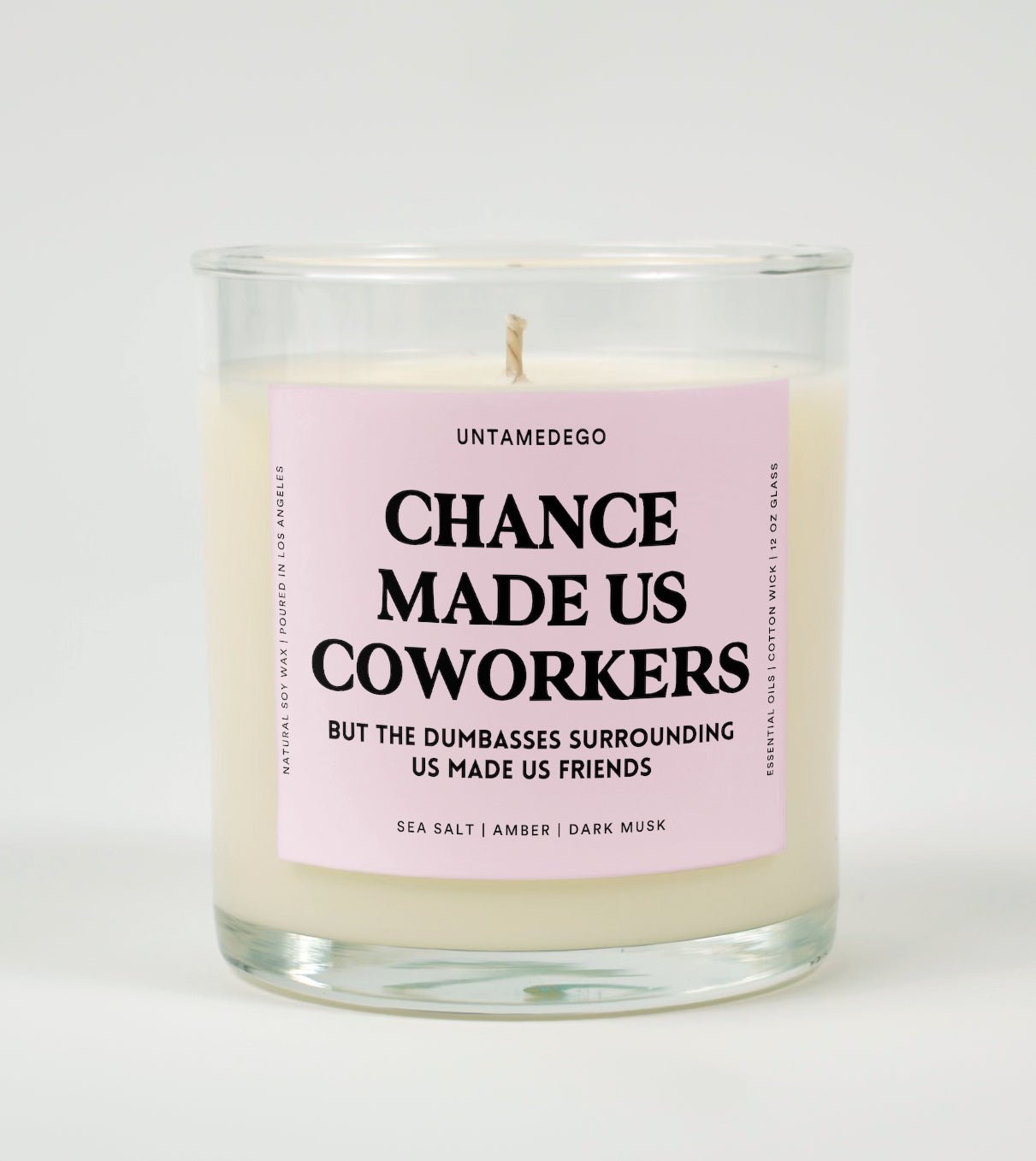 Chance Made Us Coworkers But The Dumbasses Surrounding Us Made Us Friends Glass Candle UntamedEgo LLC.