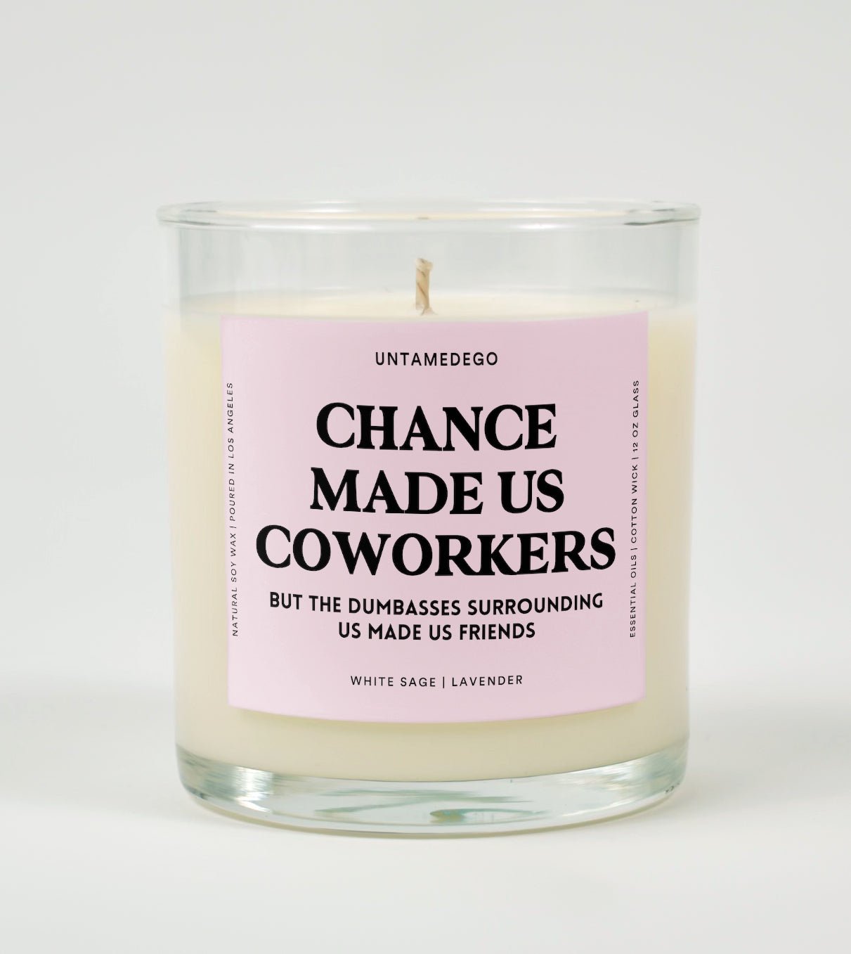 Chance Made Us Coworkers But The Dumbasses Surrounding Us Made Us Friends Glass Candle UntamedEgo LLC.
