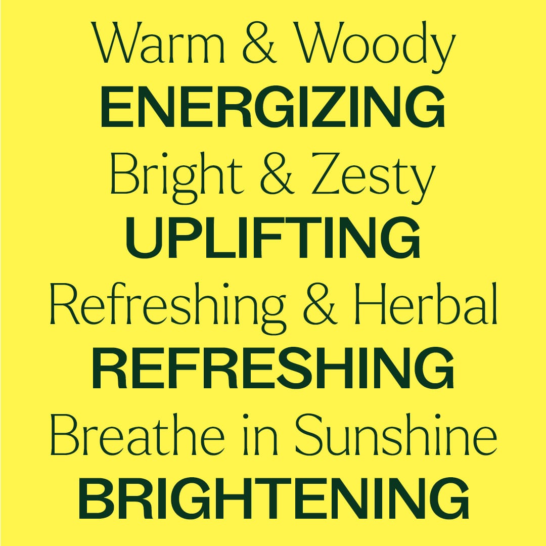 Chasing Sunshine Essential Oil Blend Set Plant Therapy