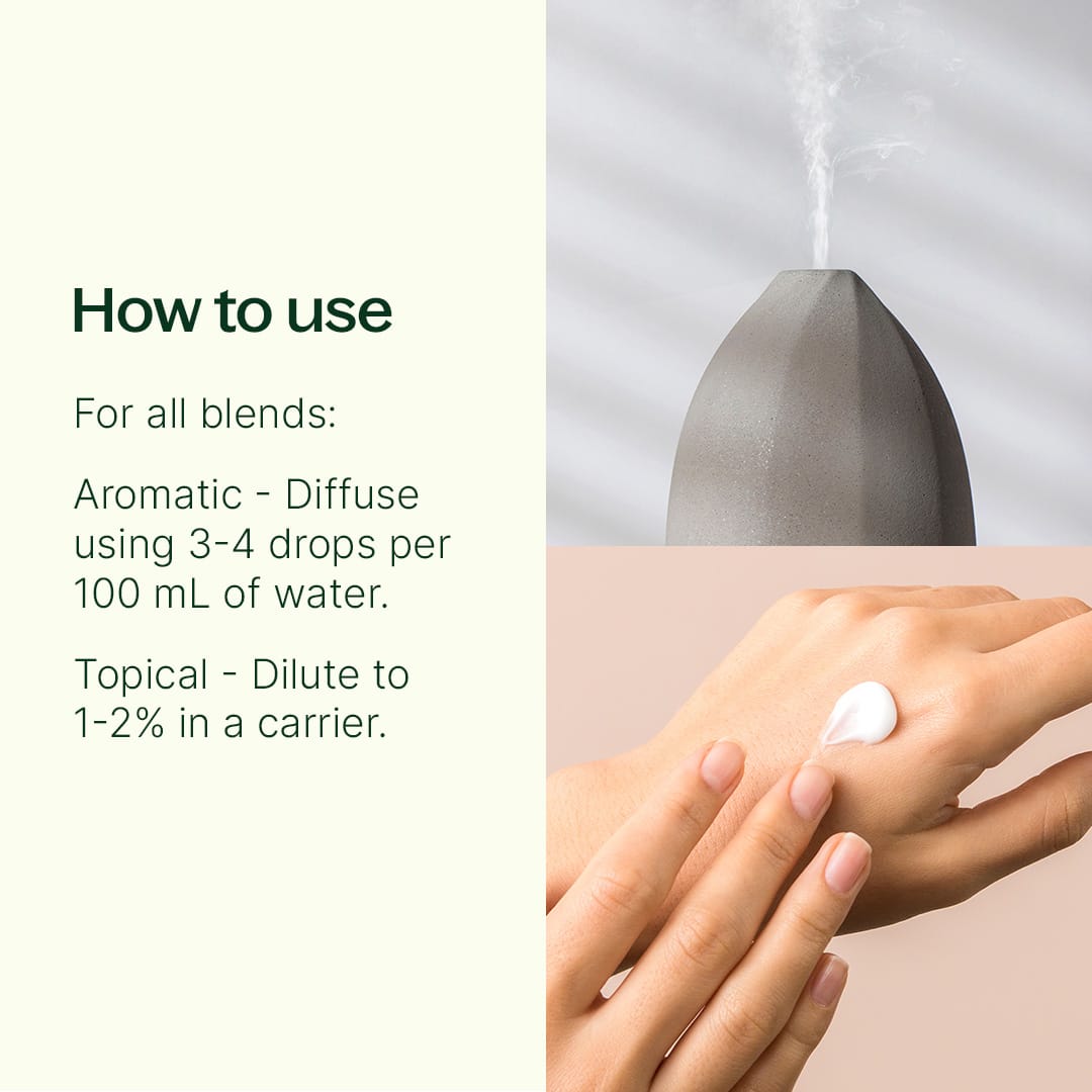 Chasing Sunshine Essential Oil Blend Set Plant Therapy