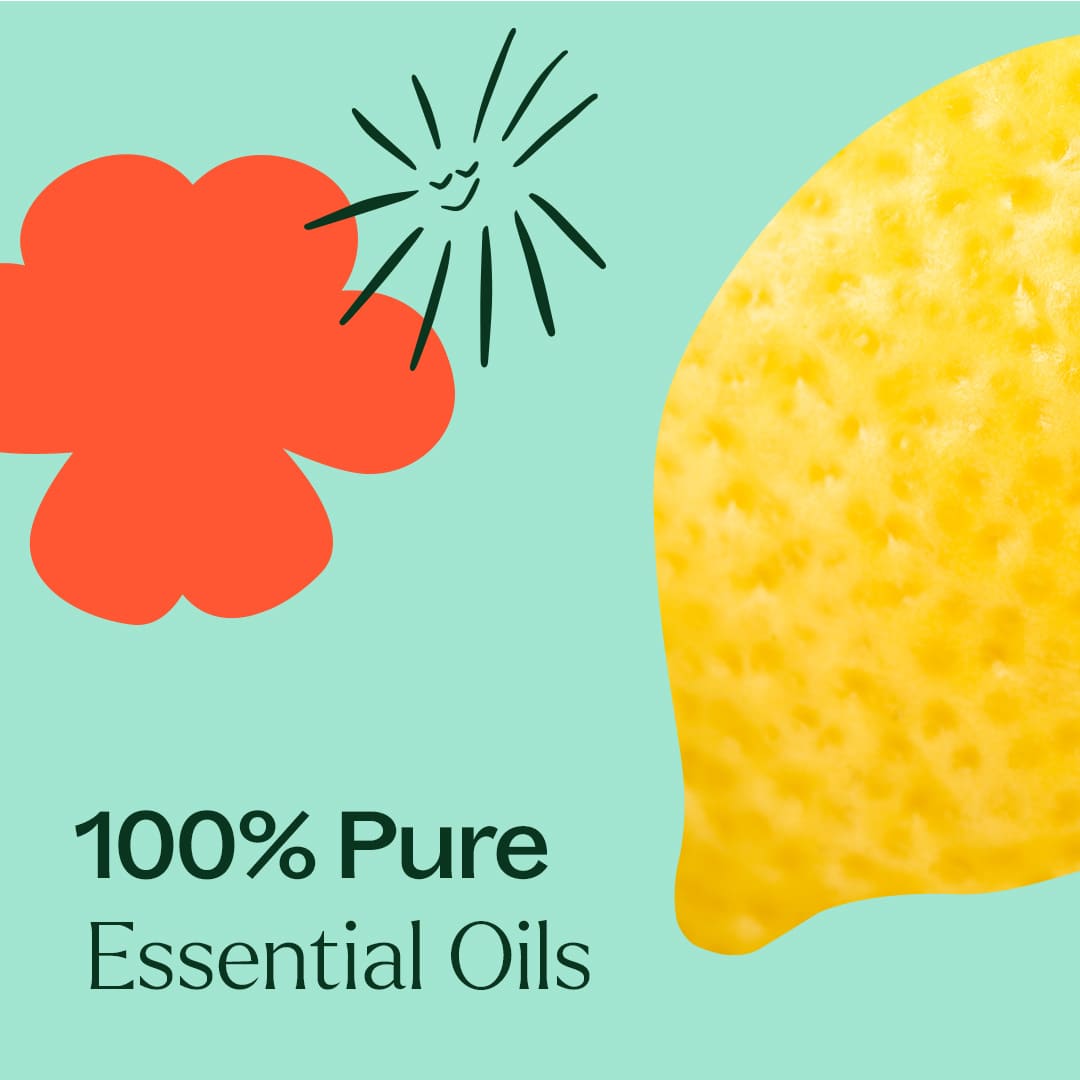 Chasing Sunshine Essential Oil Blend Set Plant Therapy