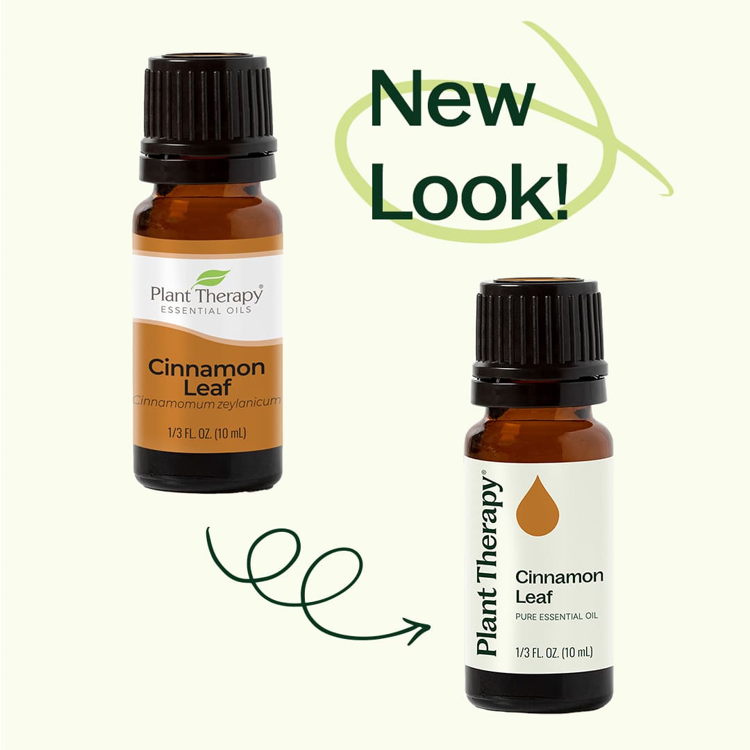 Cinnamon Leaf Essential Oil Plant Therapy