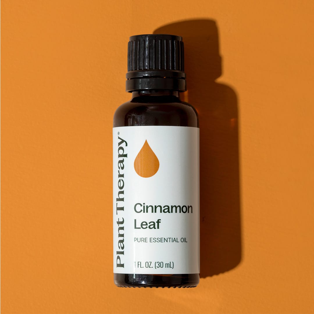 Cinnamon Leaf Essential Oil Plant Therapy