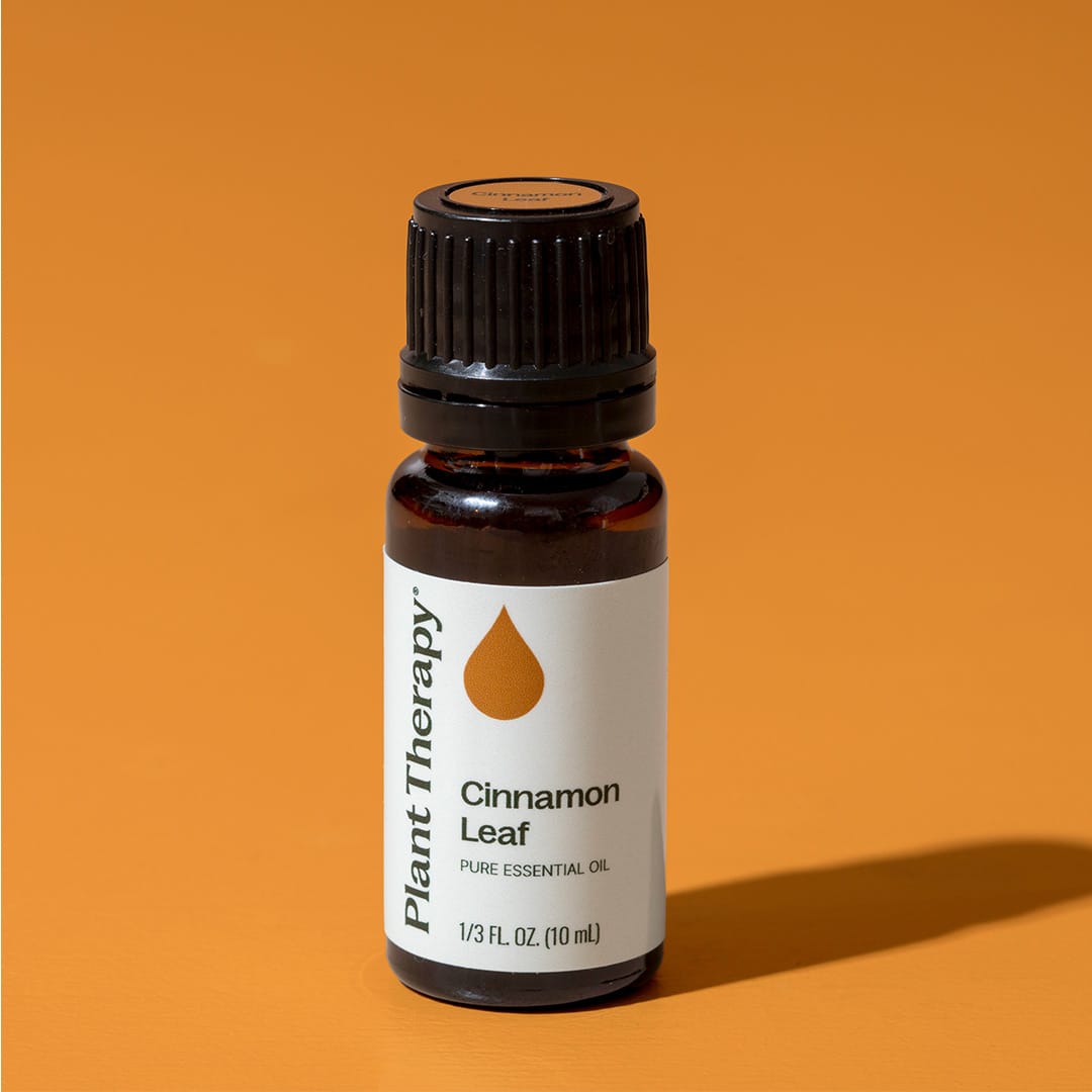 Cinnamon Leaf Essential Oil Plant Therapy
