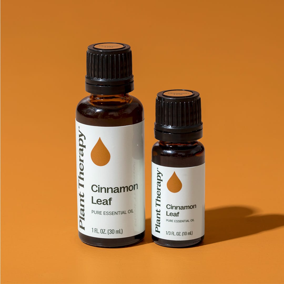 Cinnamon Leaf Essential Oil Plant Therapy