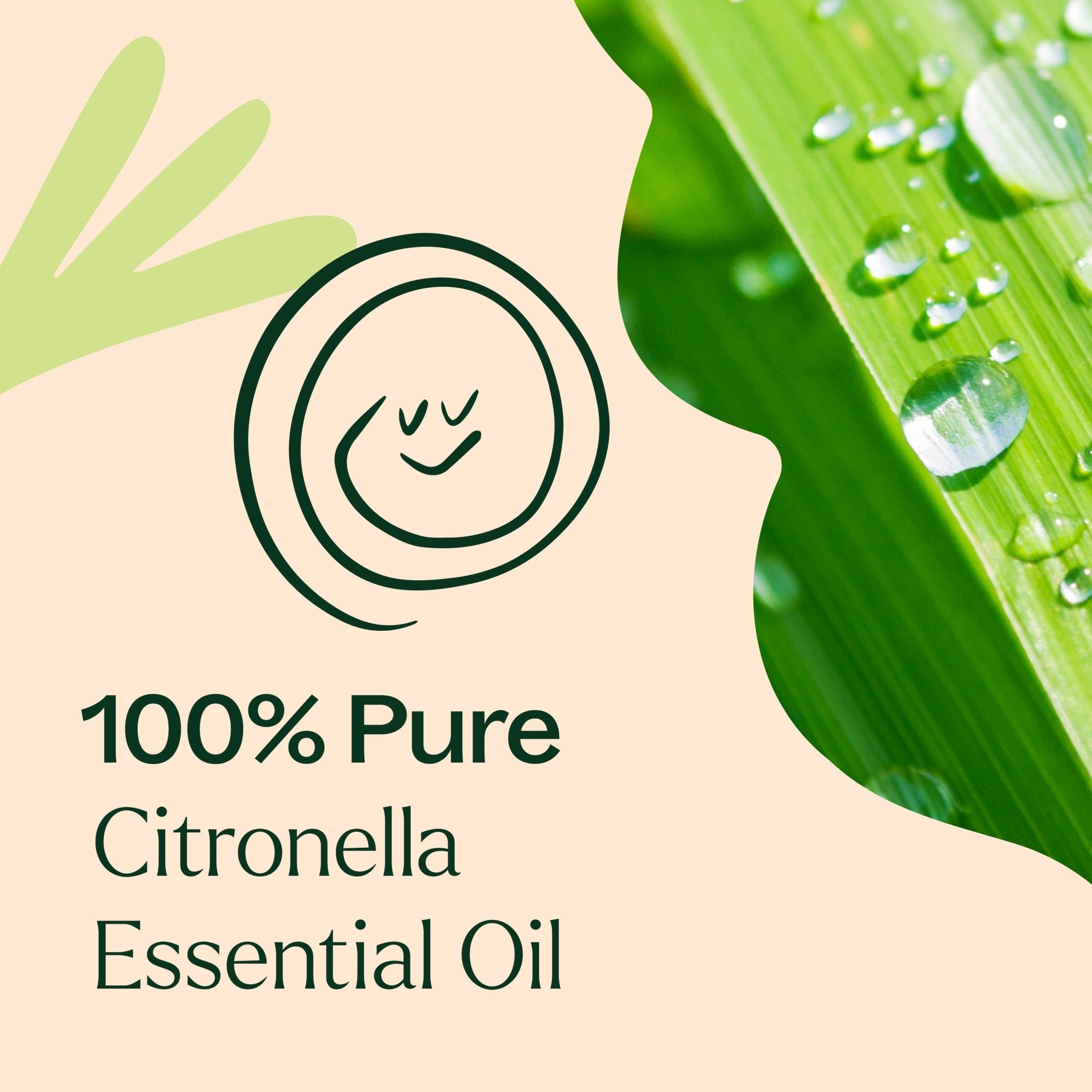 Citronella Essential Oil Plant Therapy