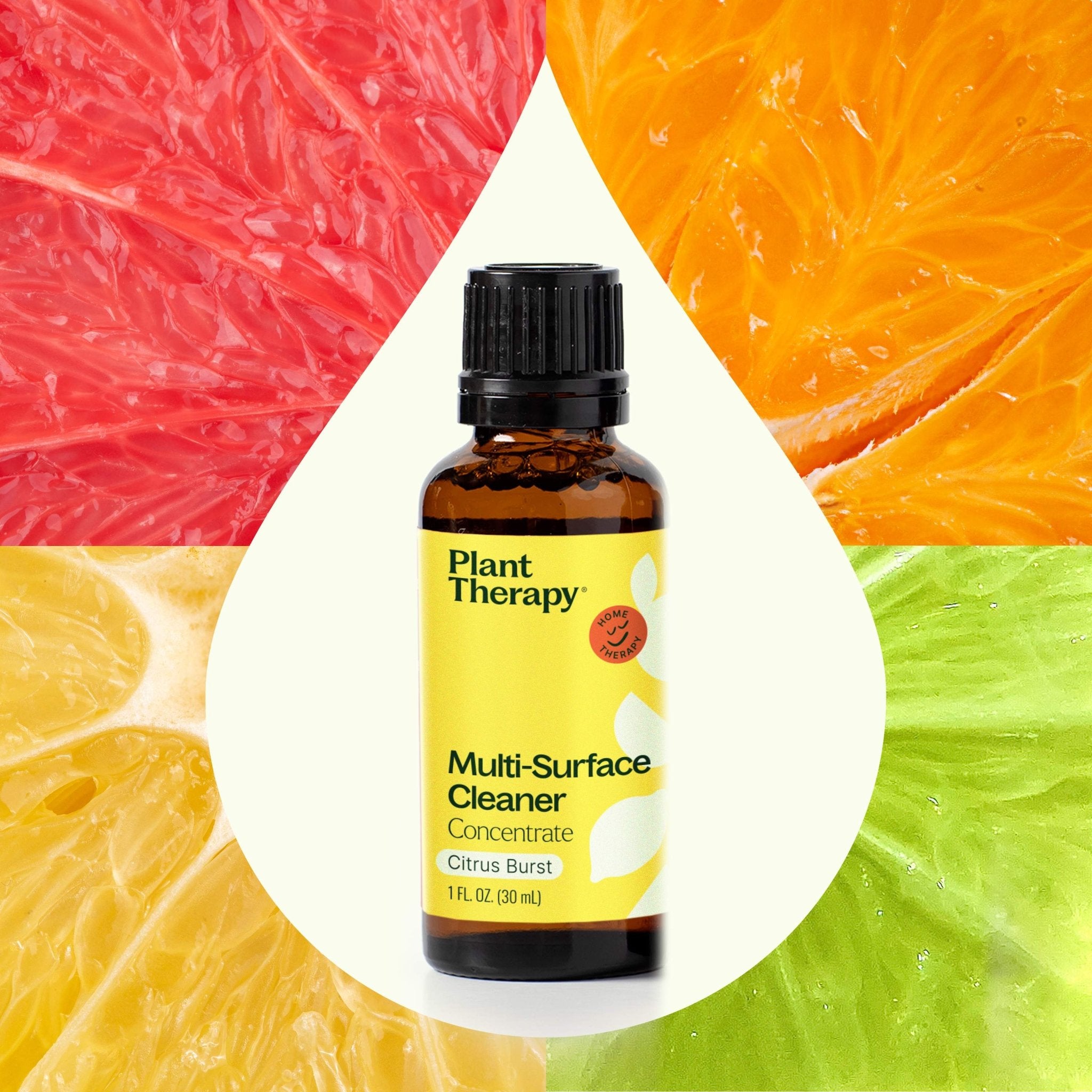 Citrus Burst Multi - Surface Cleaner 2 - Pack Plant Therapy