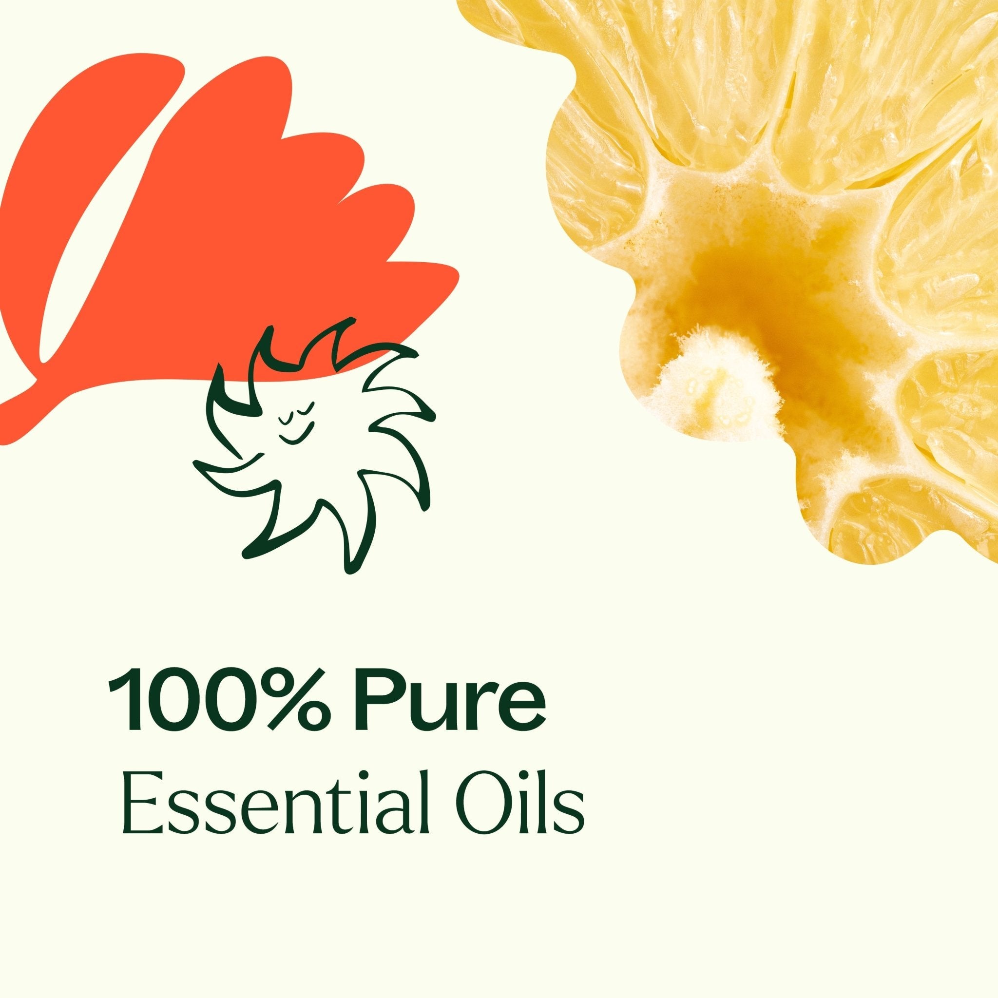 Citrus Burst Multi - Surface Cleaner 2 - Pack Plant Therapy